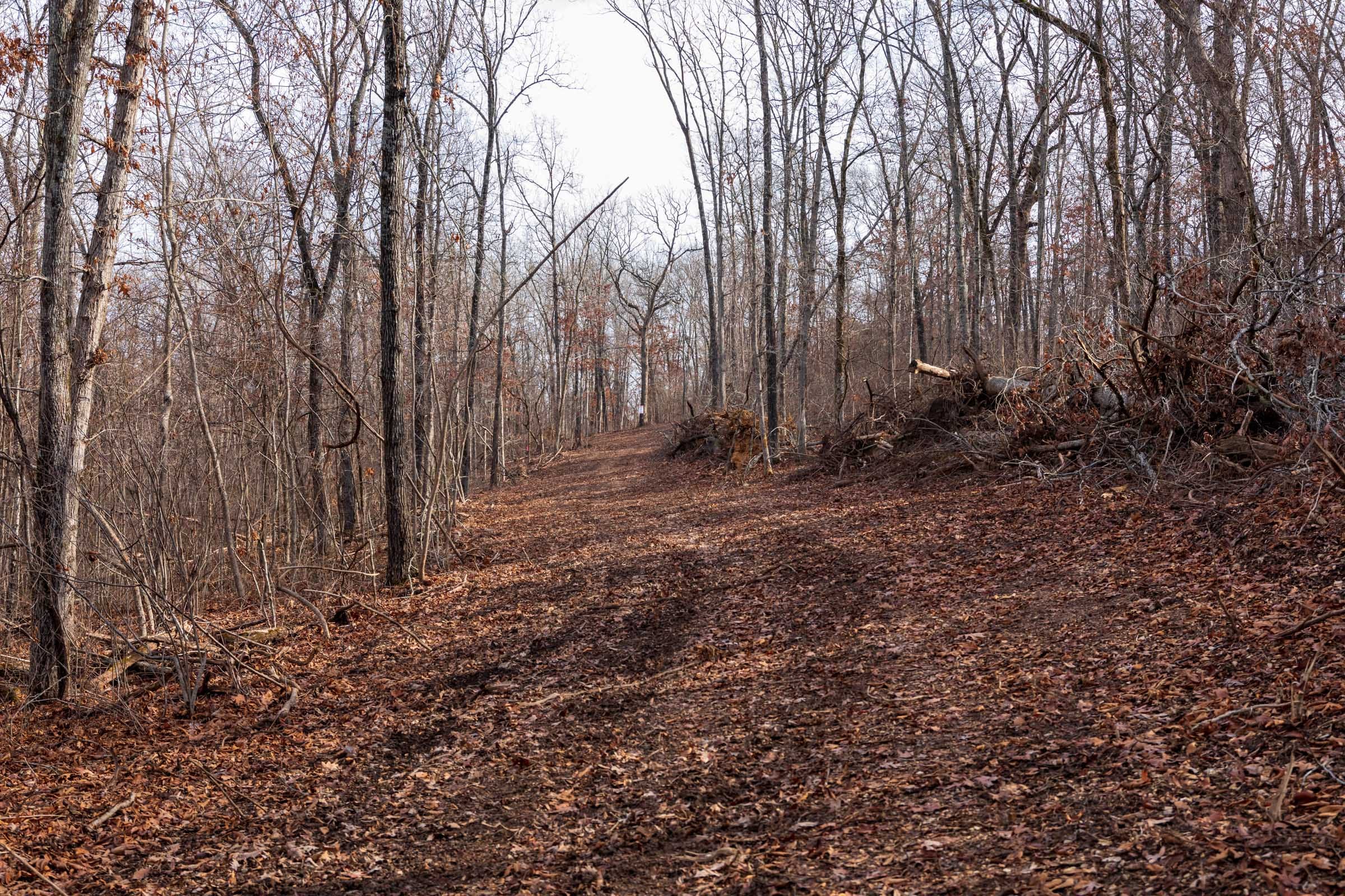 Crossroads Tract 23 photo 9