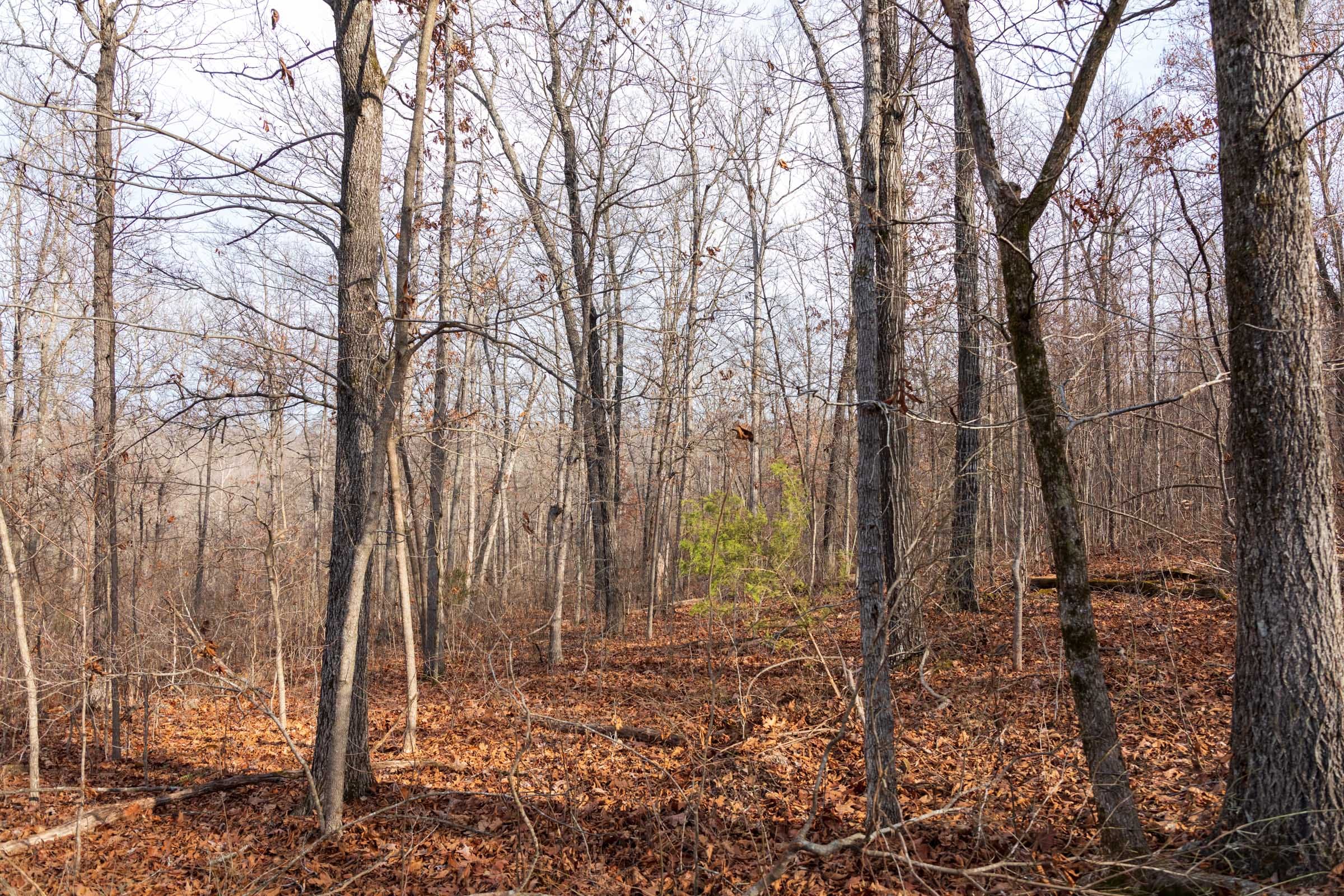 Crossroads Tract 23 photo 10