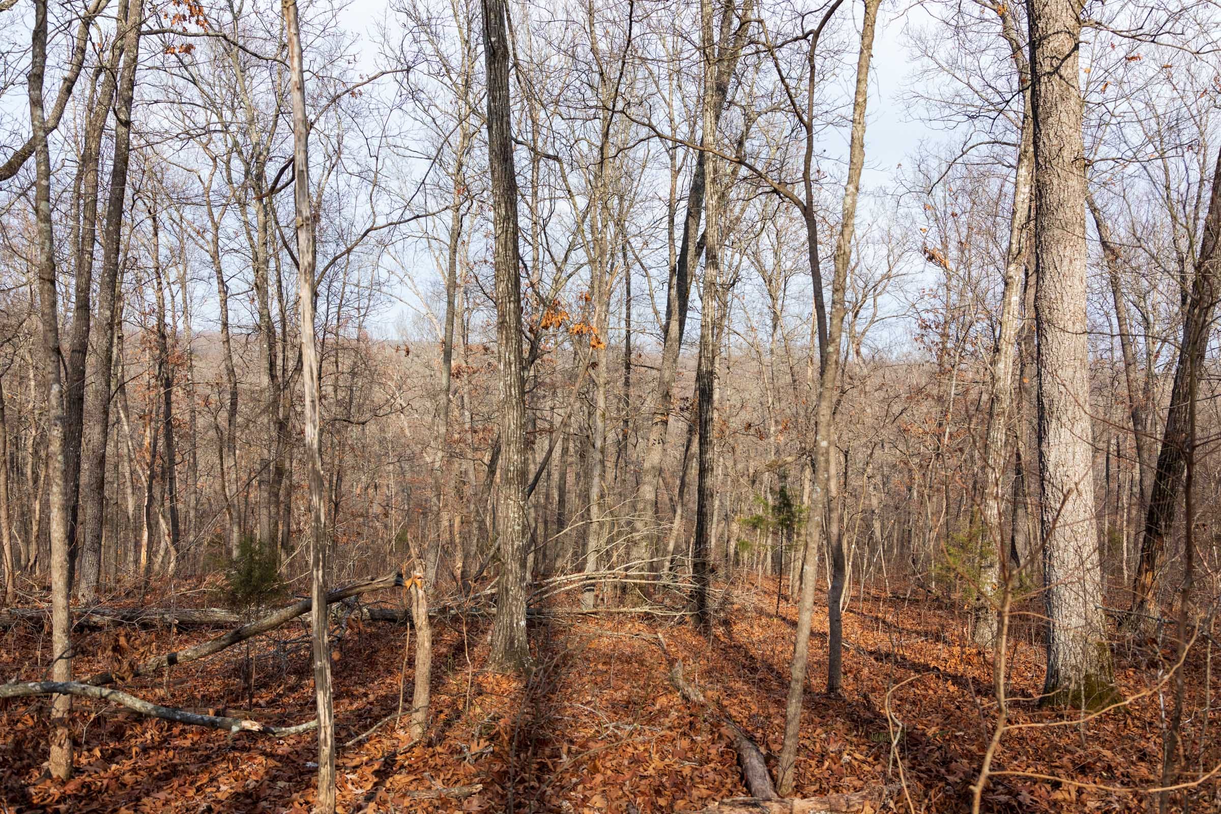 Crossroads Tract 23 photo 11