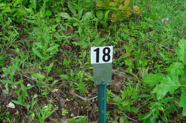 Deer Valley Tract 18 photo 1