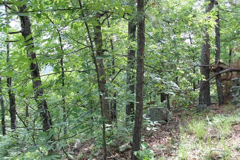 Indian Ridge – Phase II Tract 40 photo 3