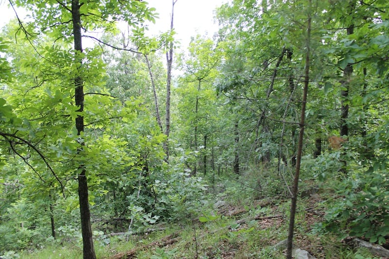 Indian Ridge – Phase II Tract 40 photo 4