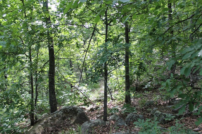 Indian Ridge – Phase II Tract 40 photo 5