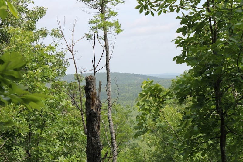 Indian Ridge – Phase II Tract 40 photo 6