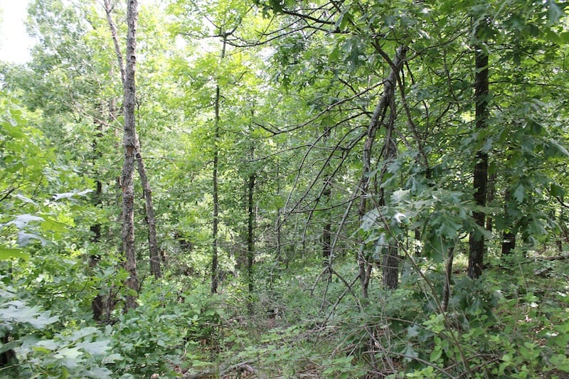 Indian Ridge – Phase II Tract 40 photo 7