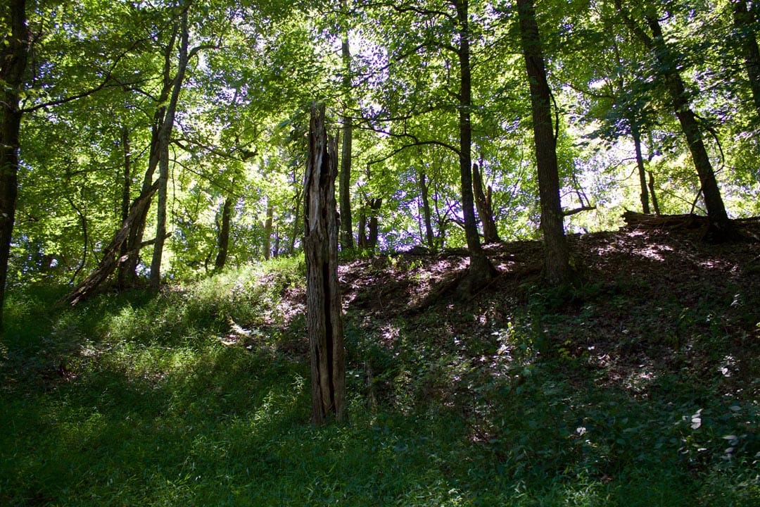 Heritage Hollow Tract 11 photo 3