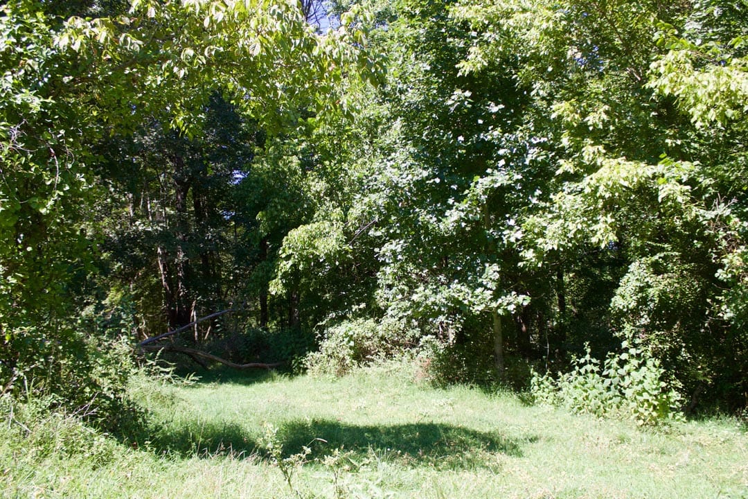 Heritage Hollow Tract 11 photo 5