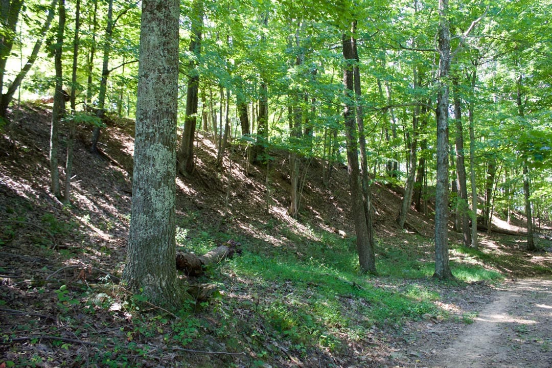 Heritage Hollow Tract 11 photo 9
