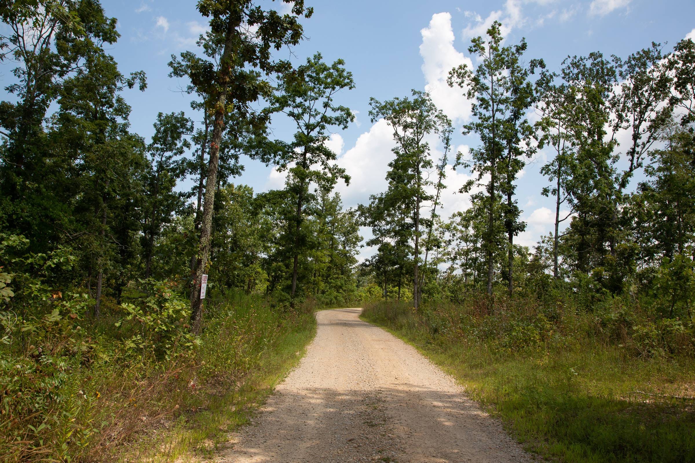 Borgmann’s Hollow Phase I Tract 11 photo 15