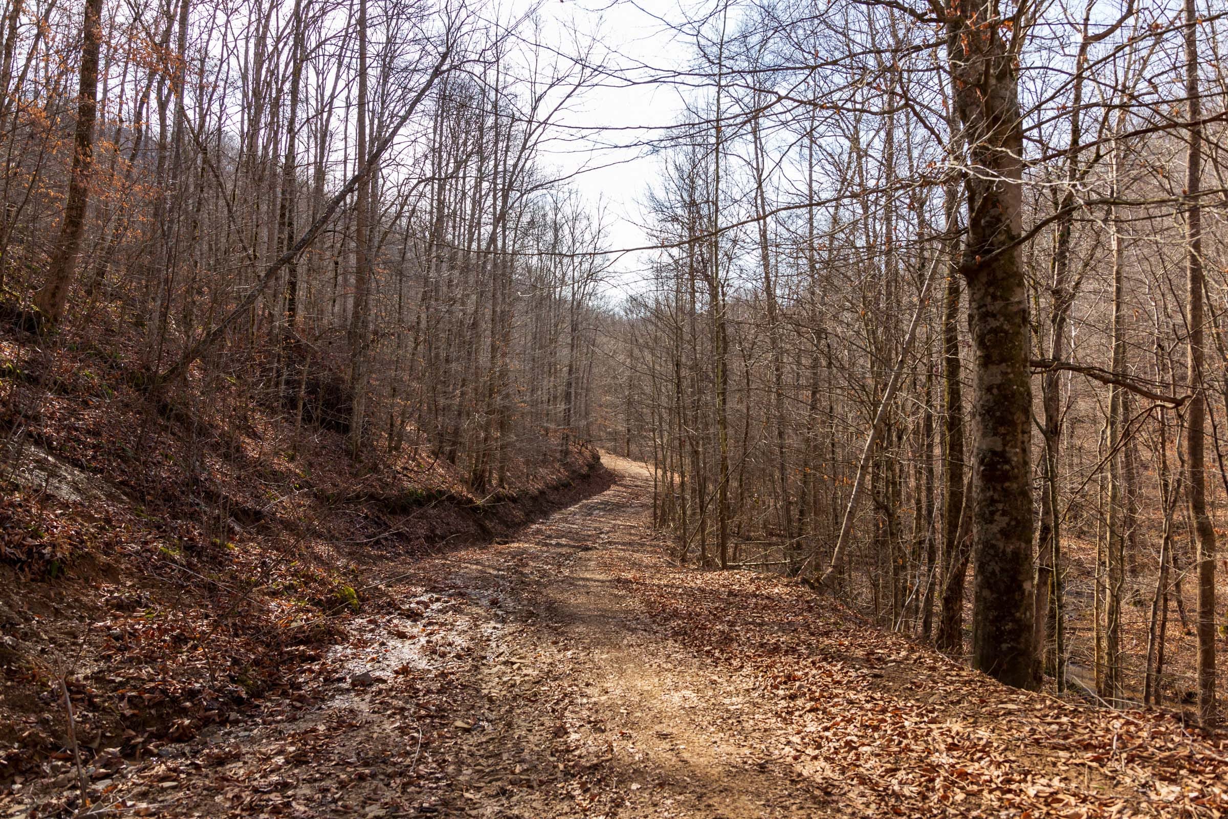 Blackstone Mountain Phase II Tract 60 photo 1
