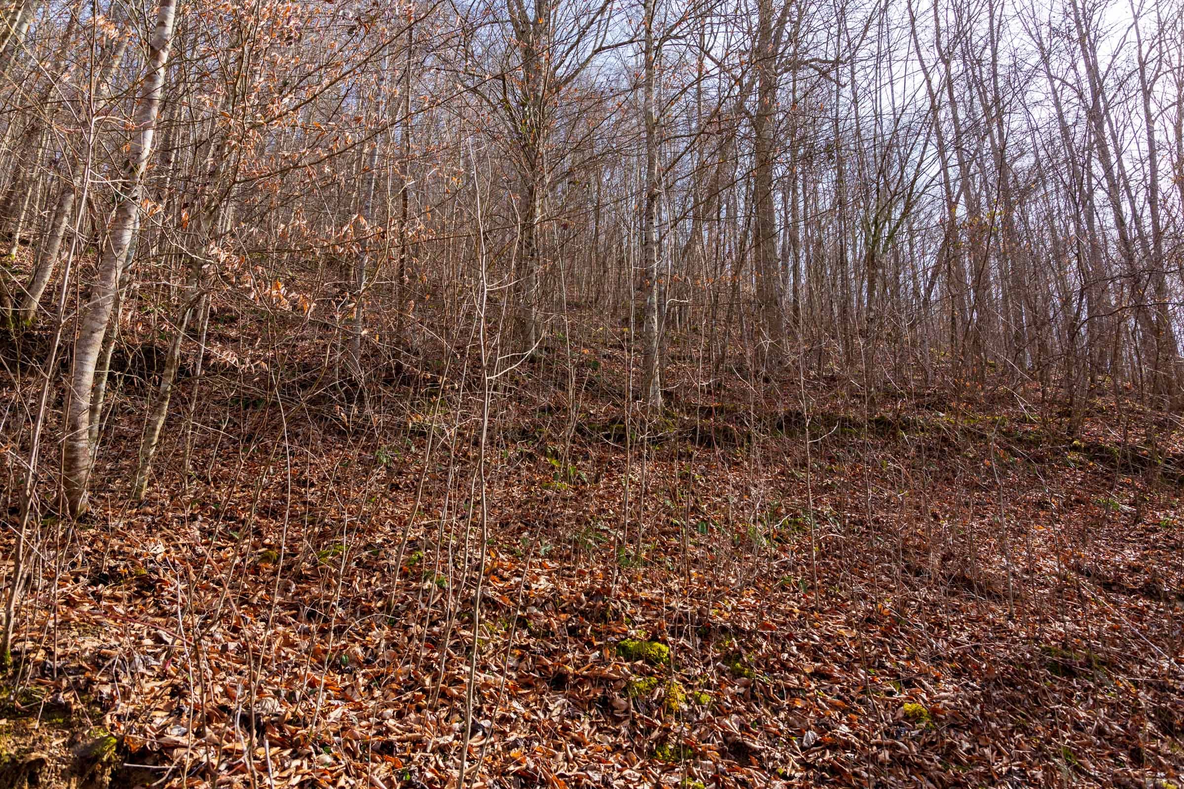 Blackstone Mountain Phase II Tract 60 photo 3