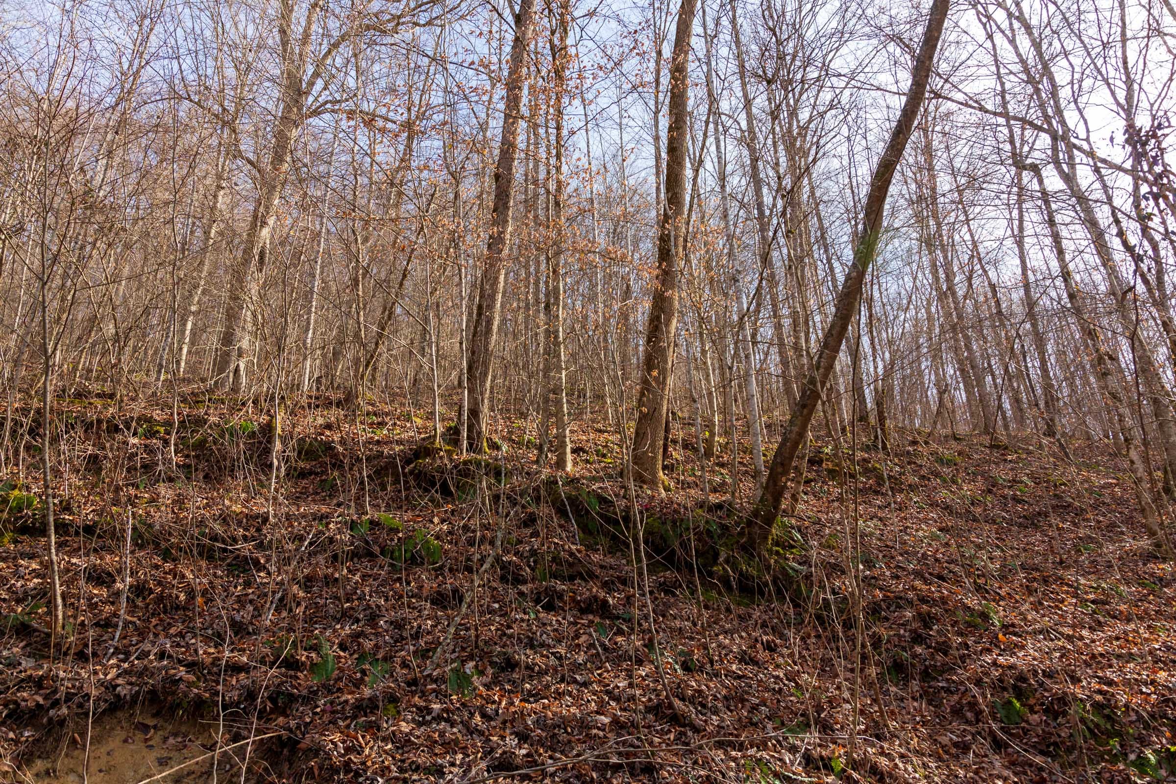 Blackstone Mountain Phase II Tract 60 photo 4