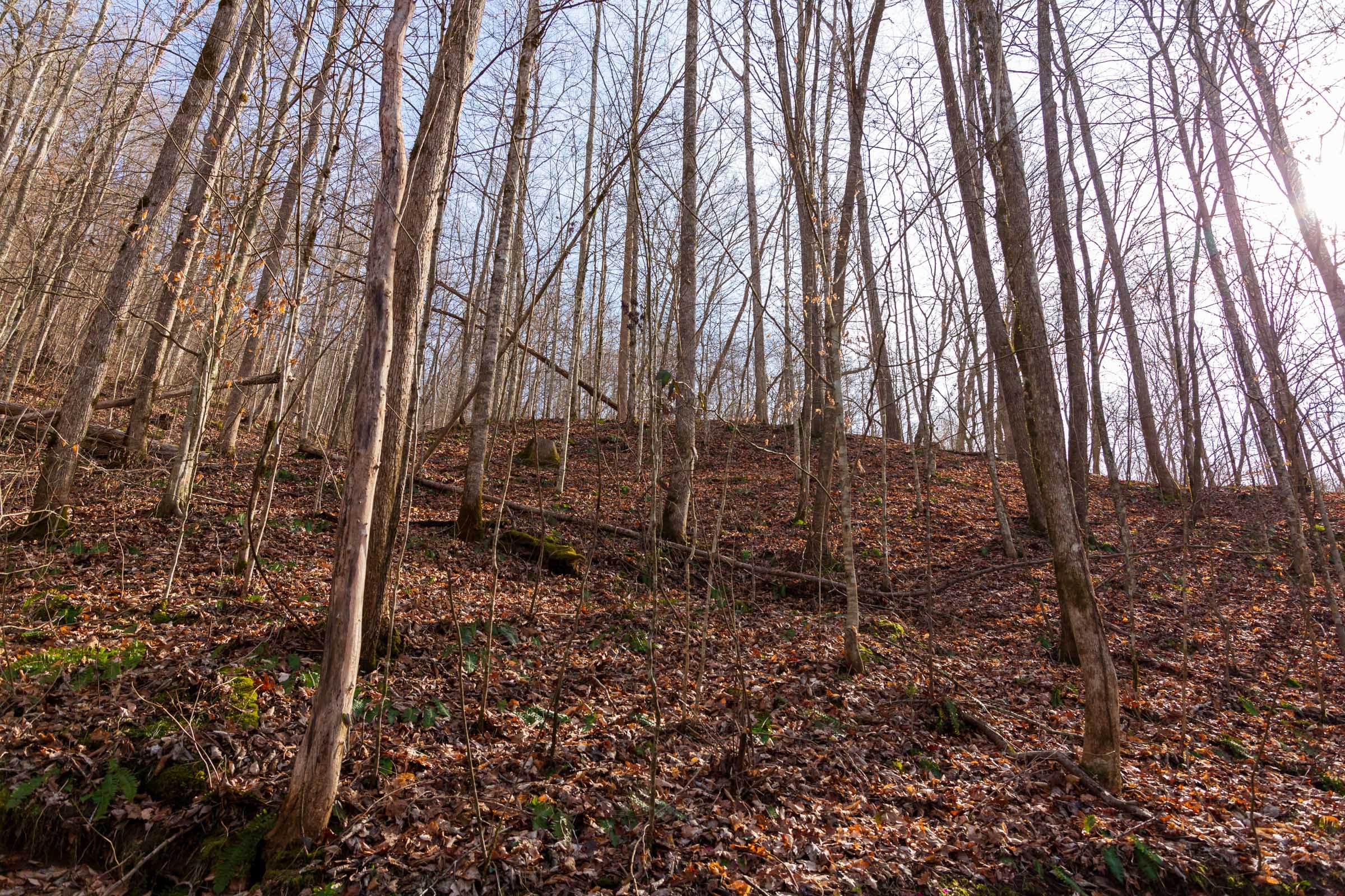 Blackstone Mountain Phase II Tract 60 photo 6