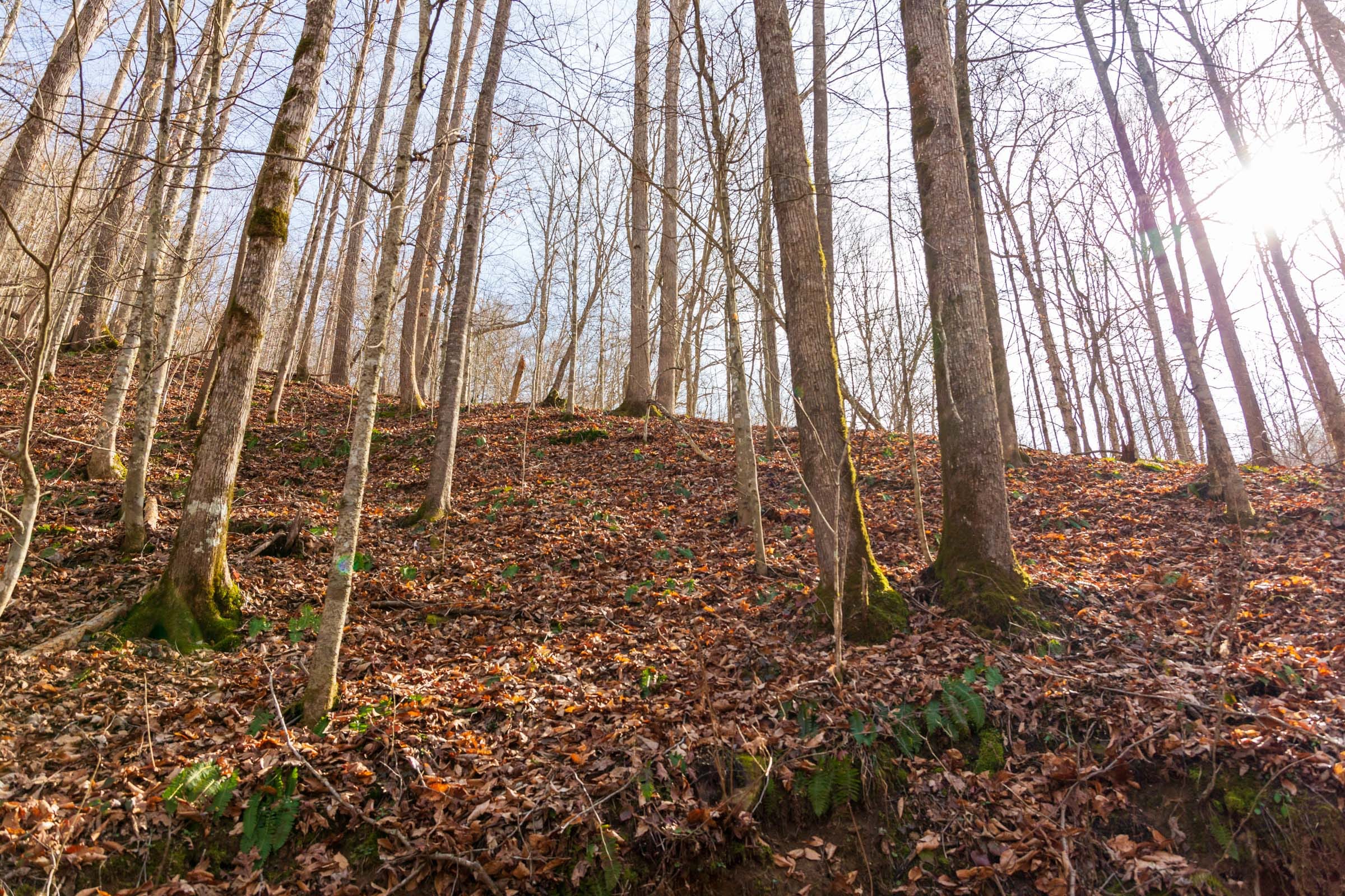 Blackstone Mountain Phase II Tract 60 photo 7