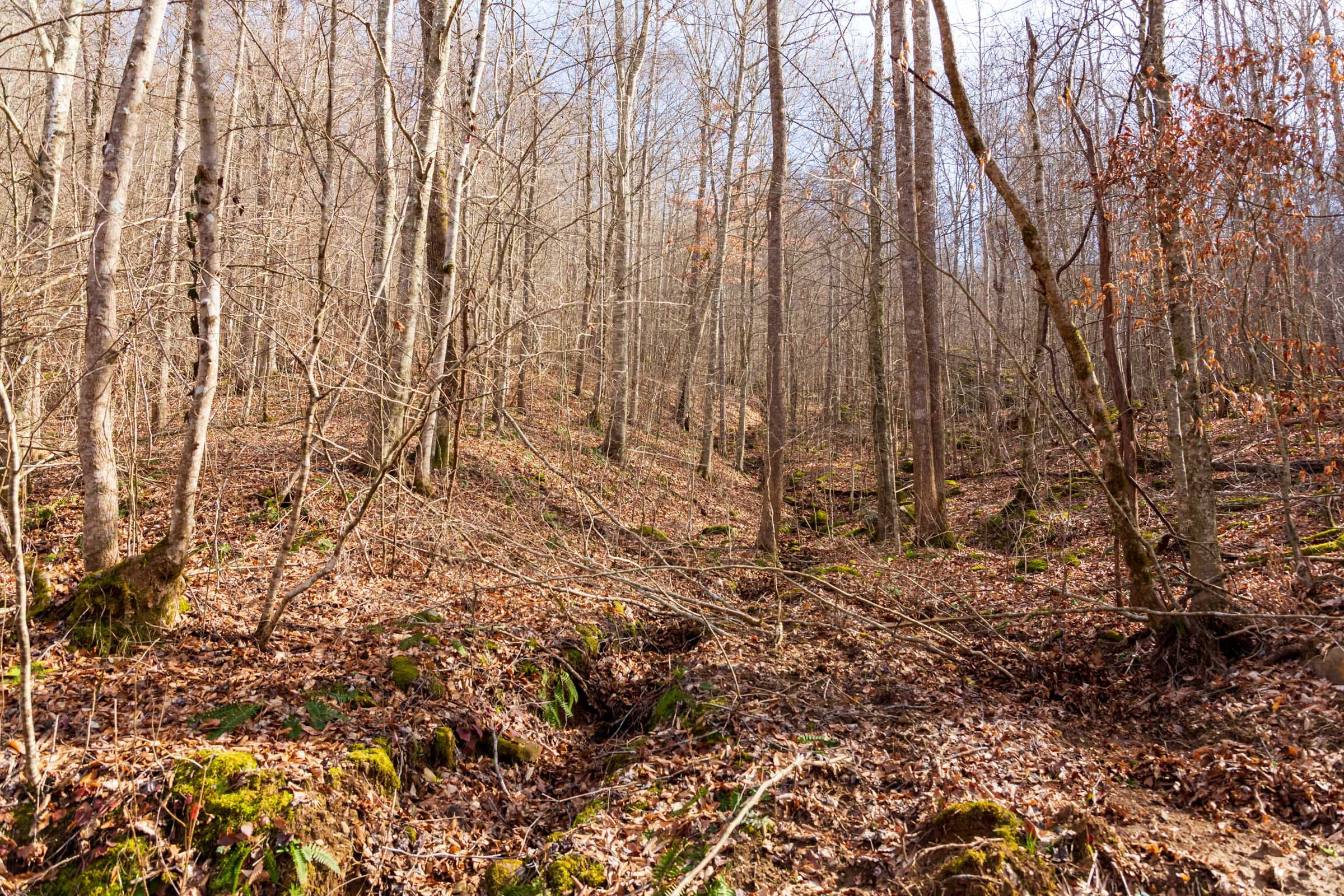 Blackstone Mountain Phase II Tract 60 photo 11