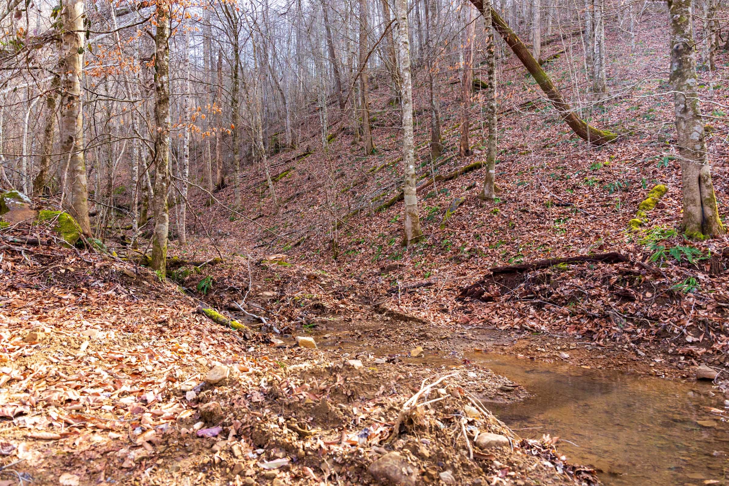 Blackstone Mountain Phase II Tract 60 photo 2