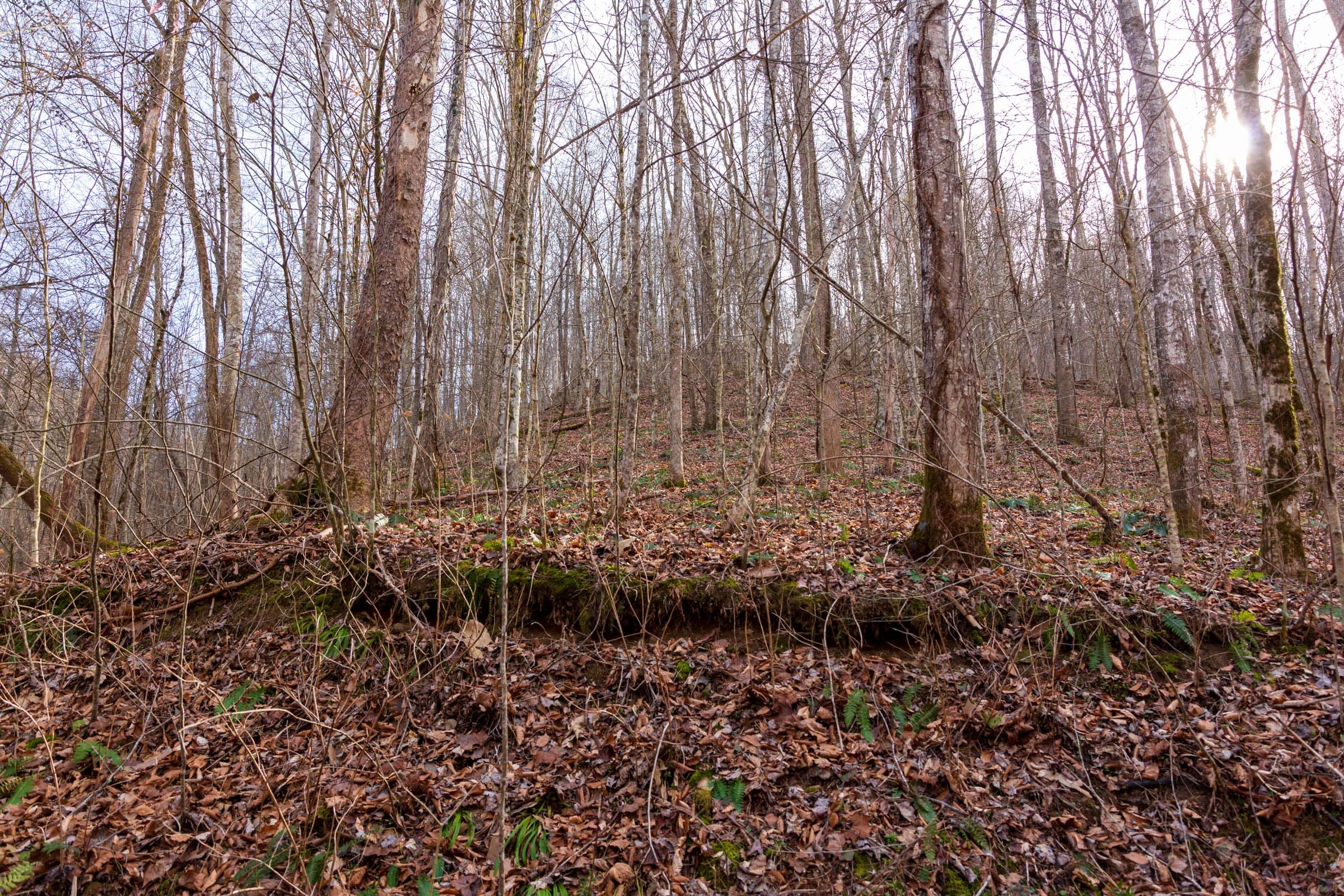 Blackstone Mountain Phase II Tract 60 photo 13