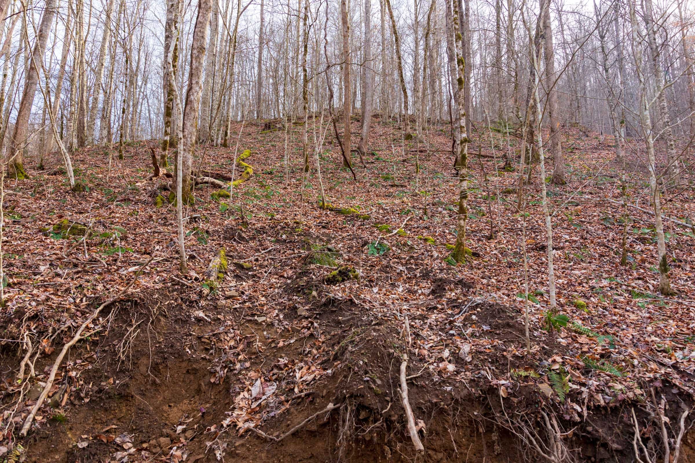 Blackstone Mountain Phase II Tract 60 photo 14