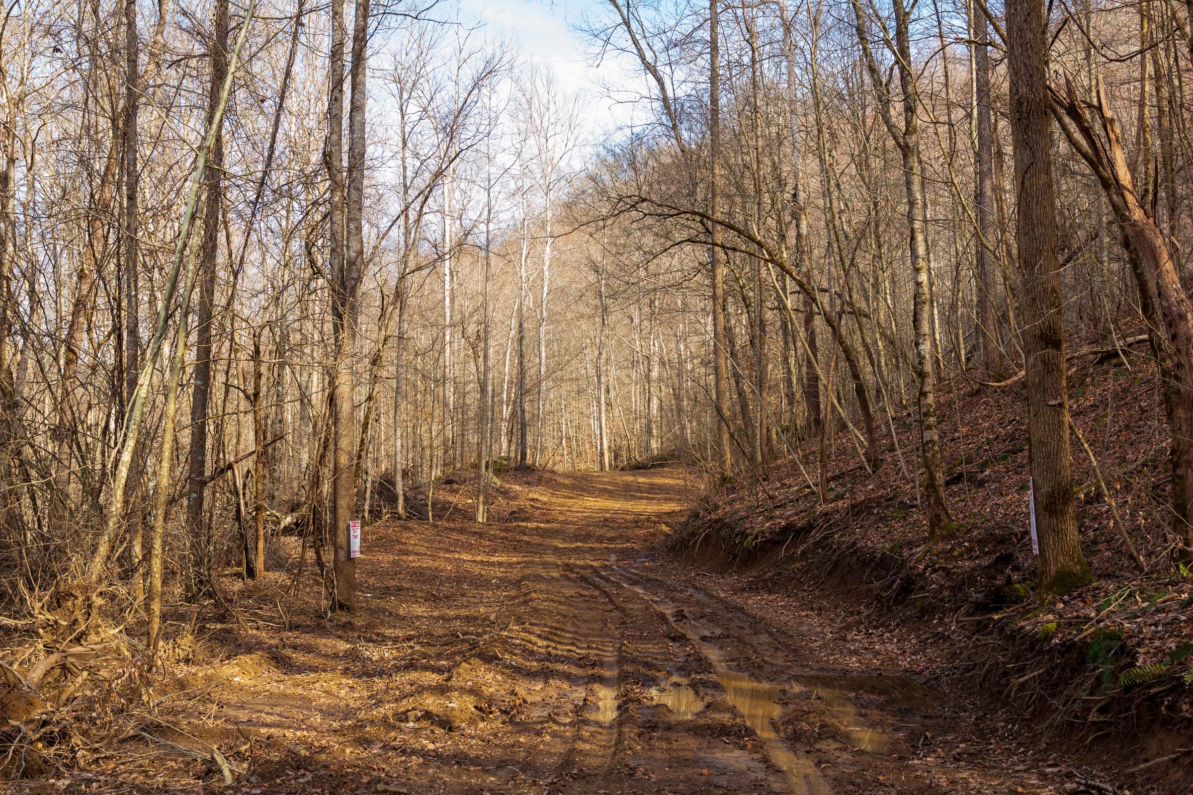 Blackstone Mountain Phase II Tract 60 photo 8