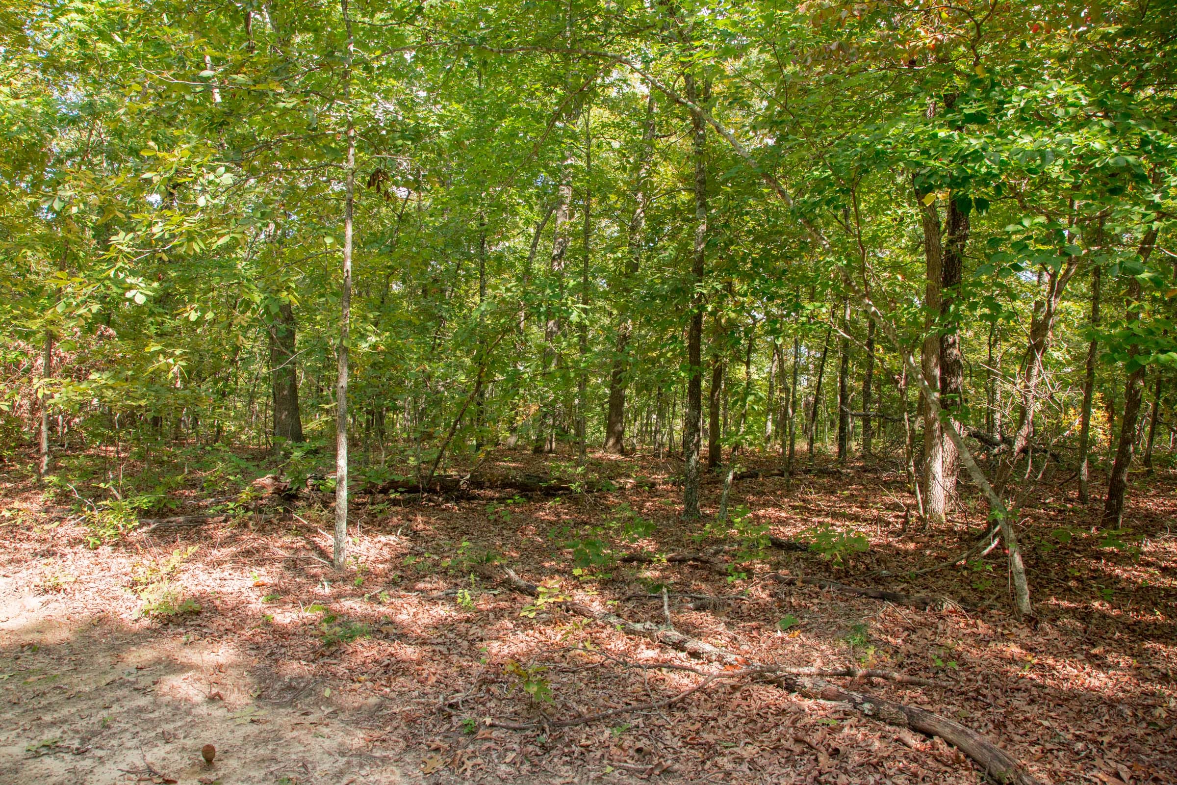 Wagon Wheel Ranch Tract 20 photo 4