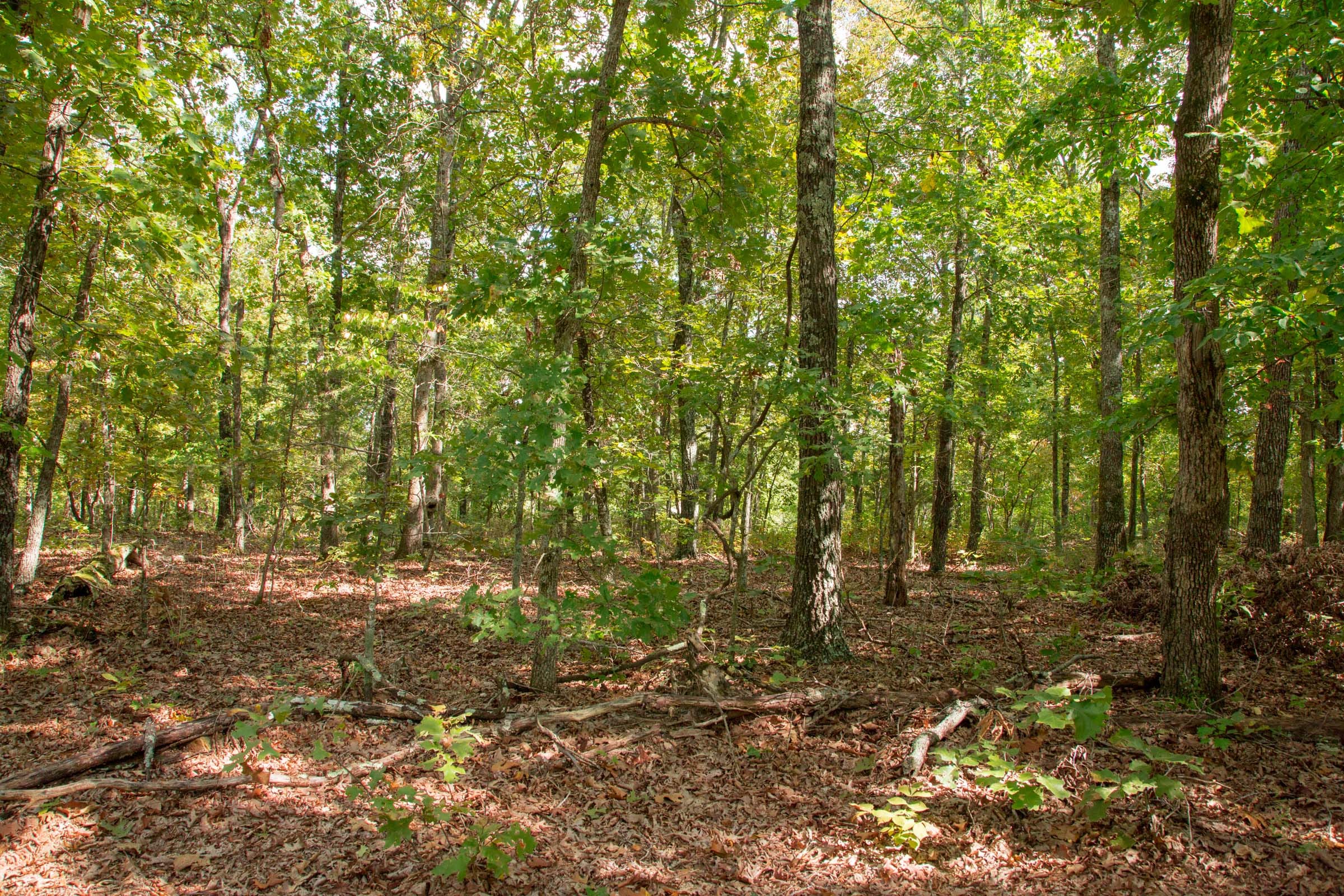 Wagon Wheel Ranch Tract 20 photo 6