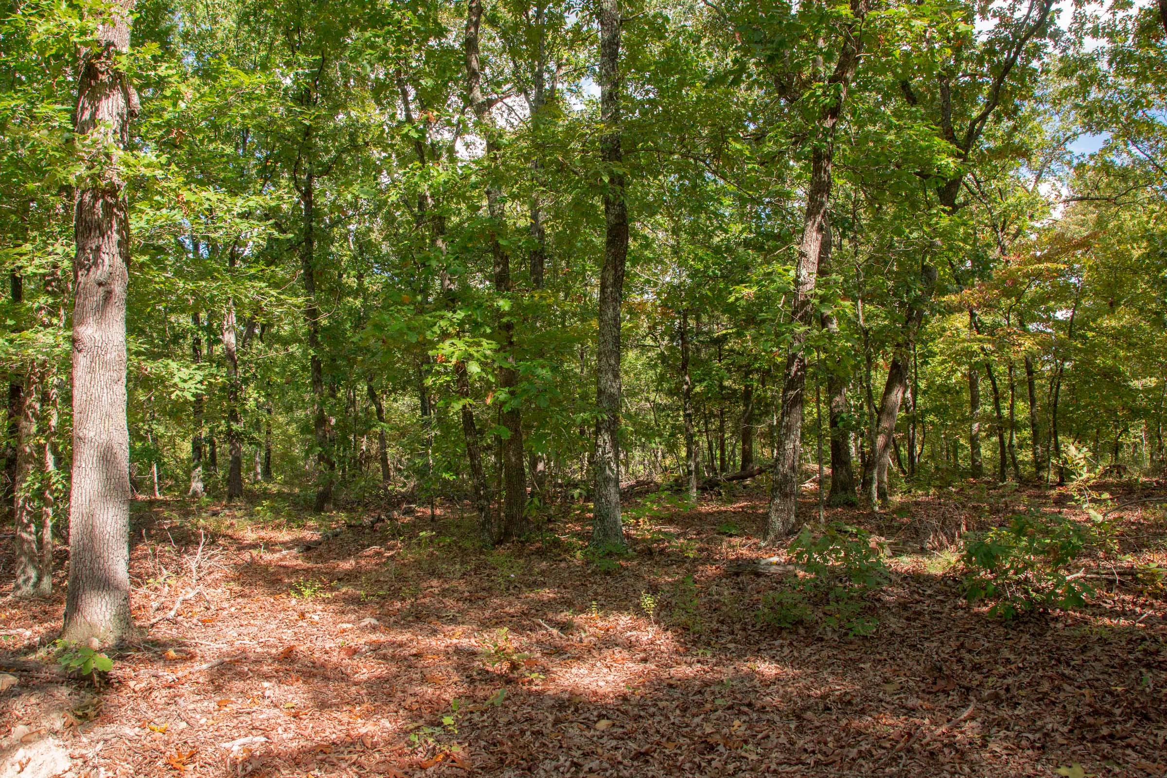 Wagon Wheel Ranch Tract 20 photo 8