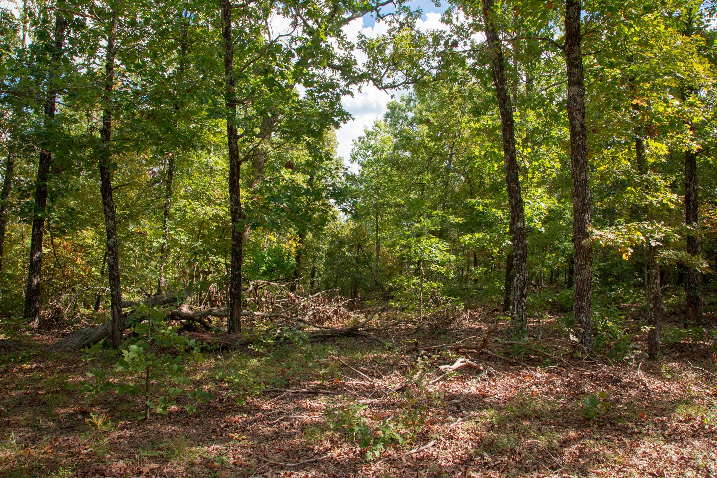 Wagon Wheel Ranch Tract 20 photo 2