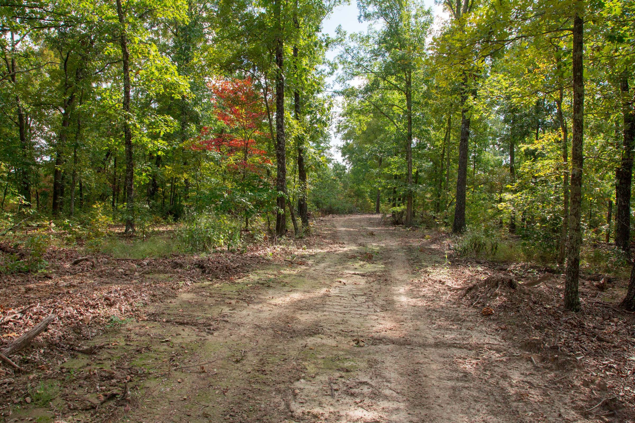 Wagon Wheel Ranch Tract 20 photo 7