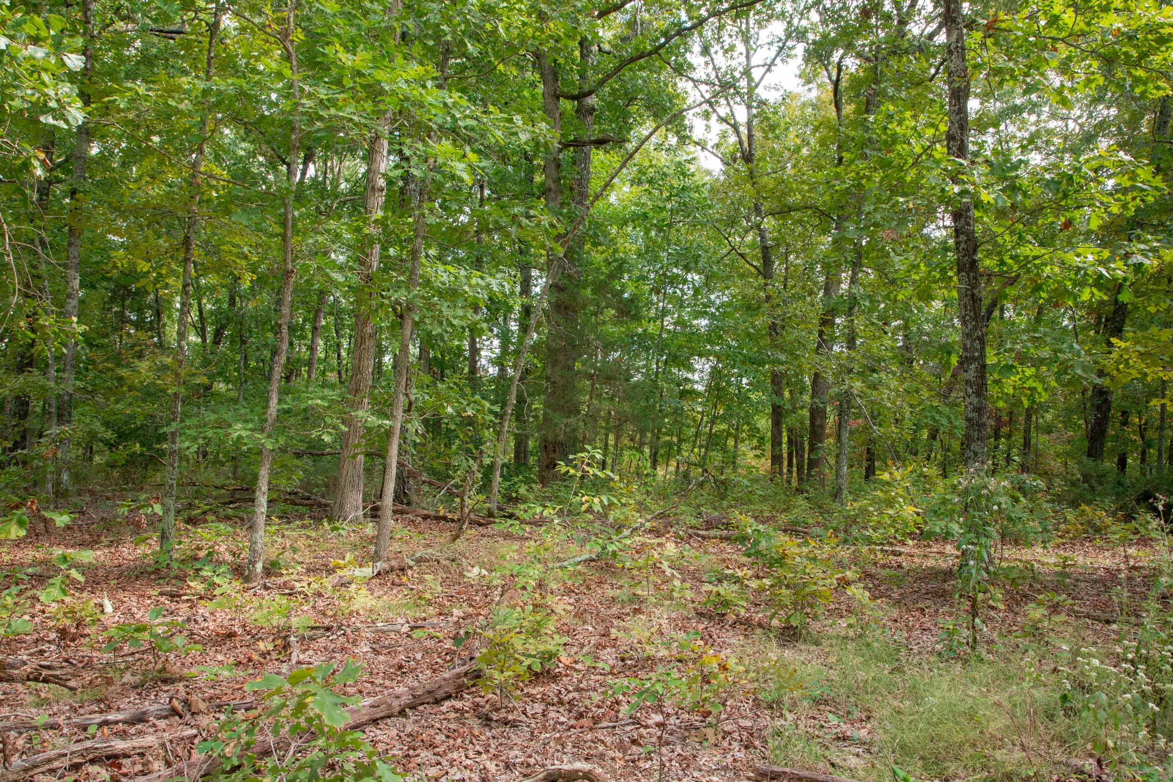 Wagon Wheel Ranch Tract 20 photo 9