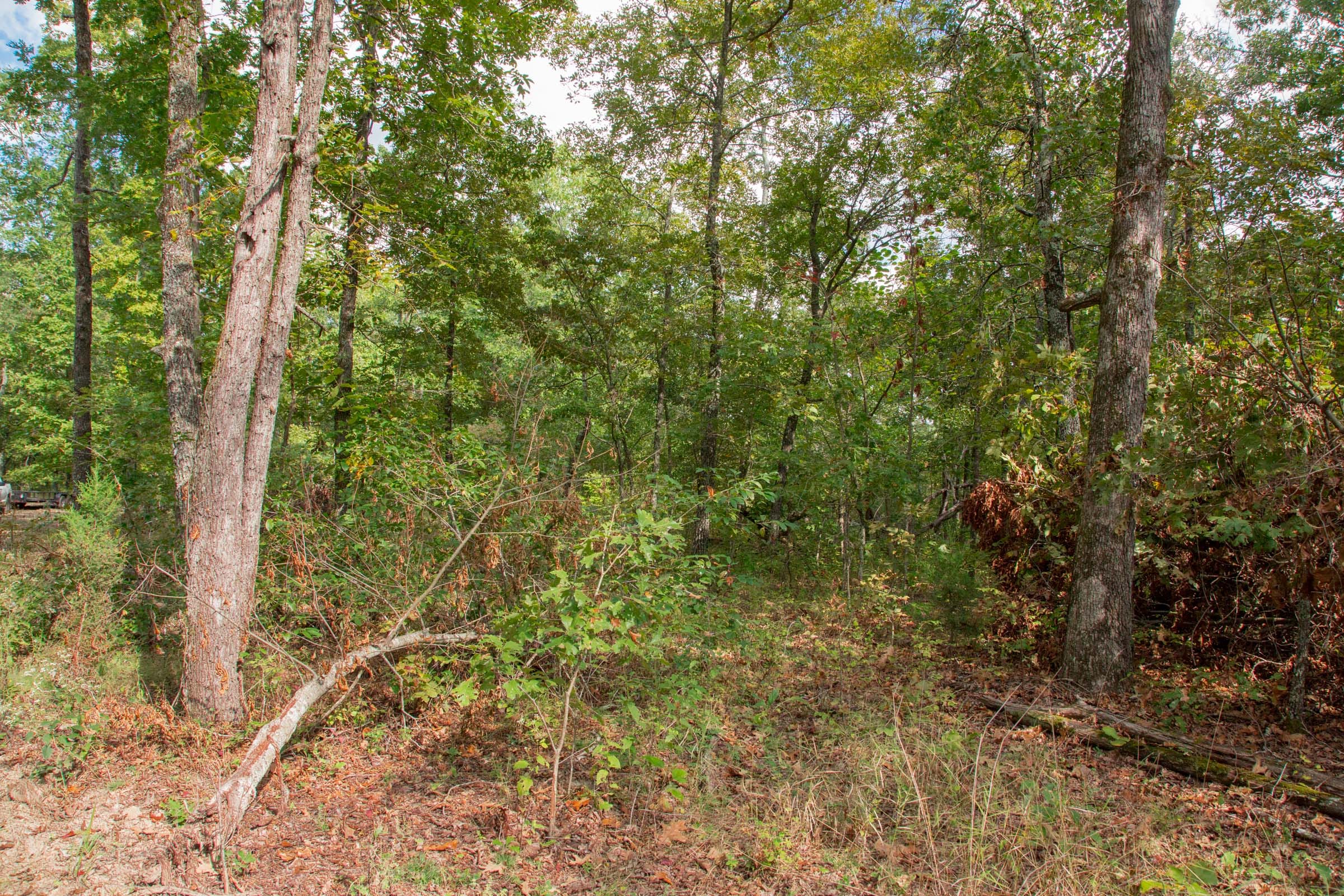 Wagon Wheel Ranch Tract 20 photo 12