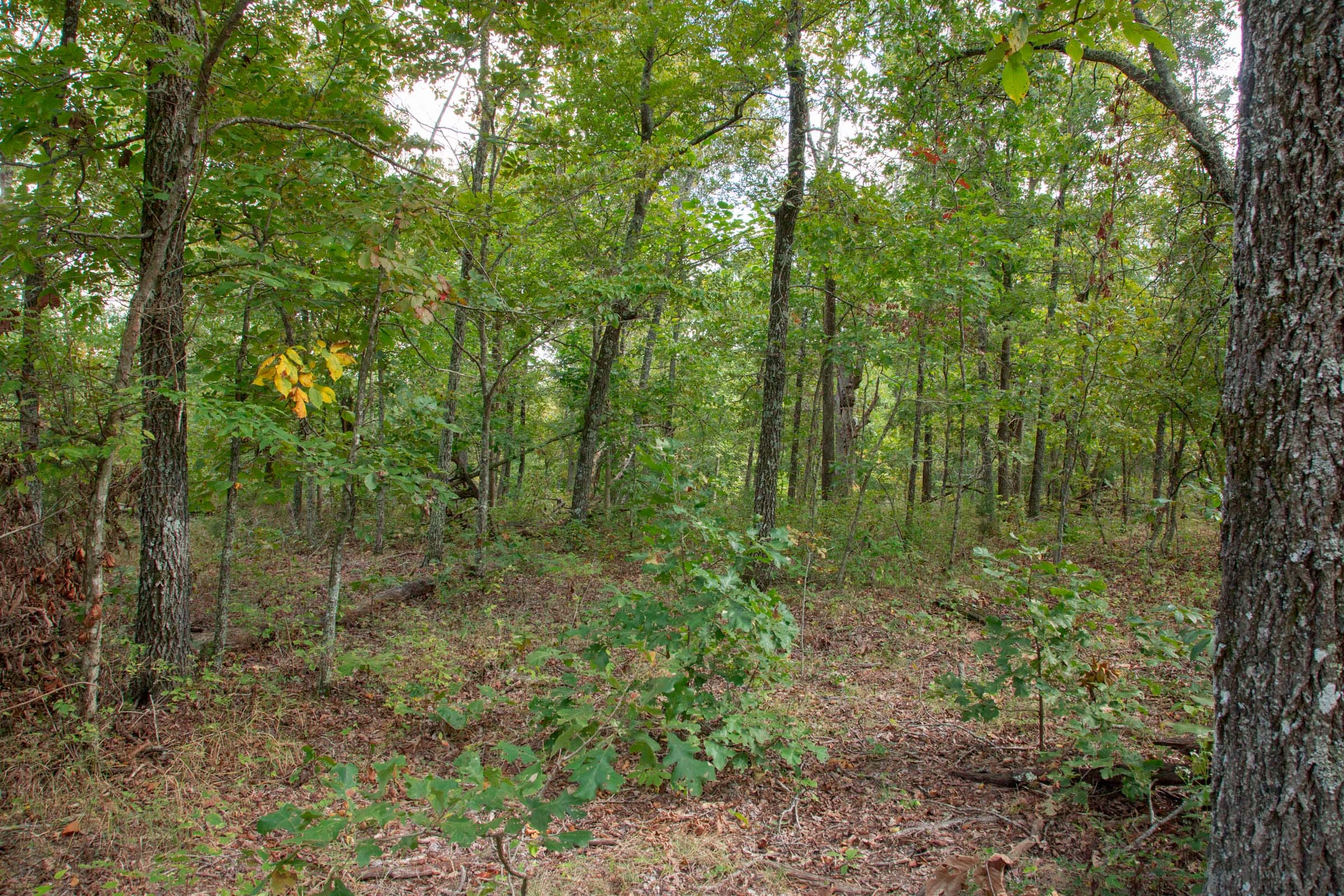 Wagon Wheel Ranch Tract 20 photo 13