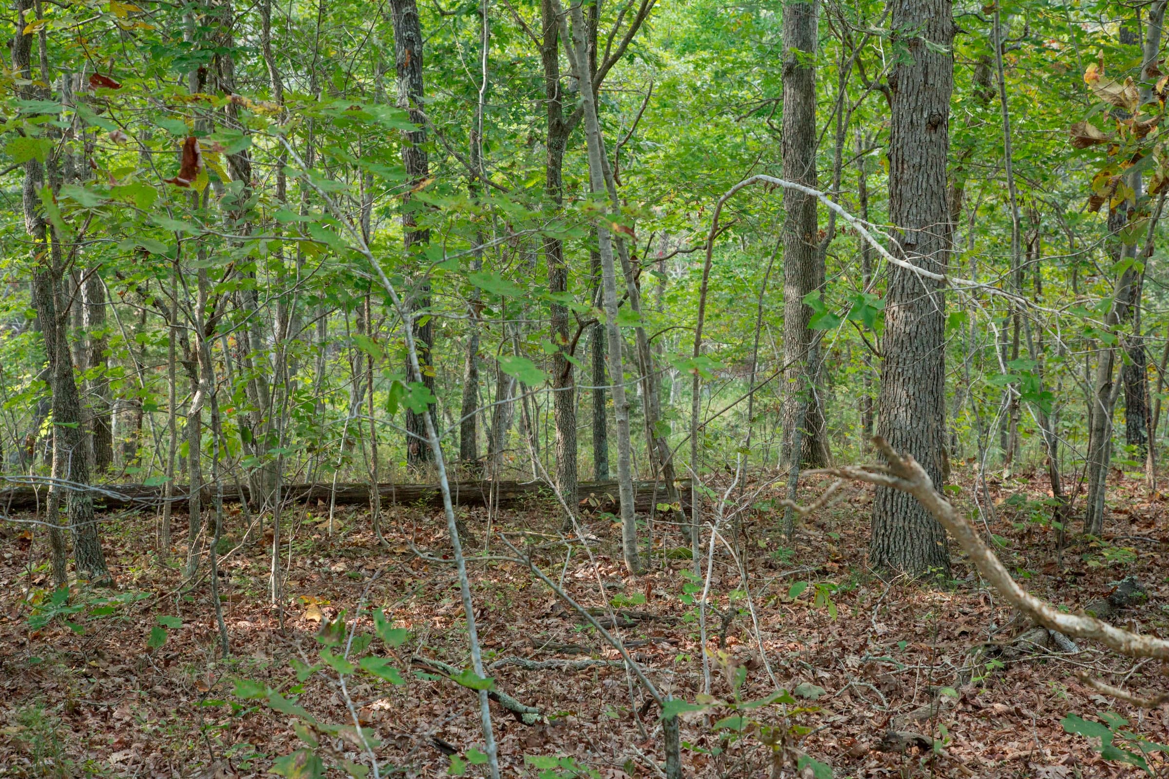Wagon Wheel Ranch Tract 20 photo 14