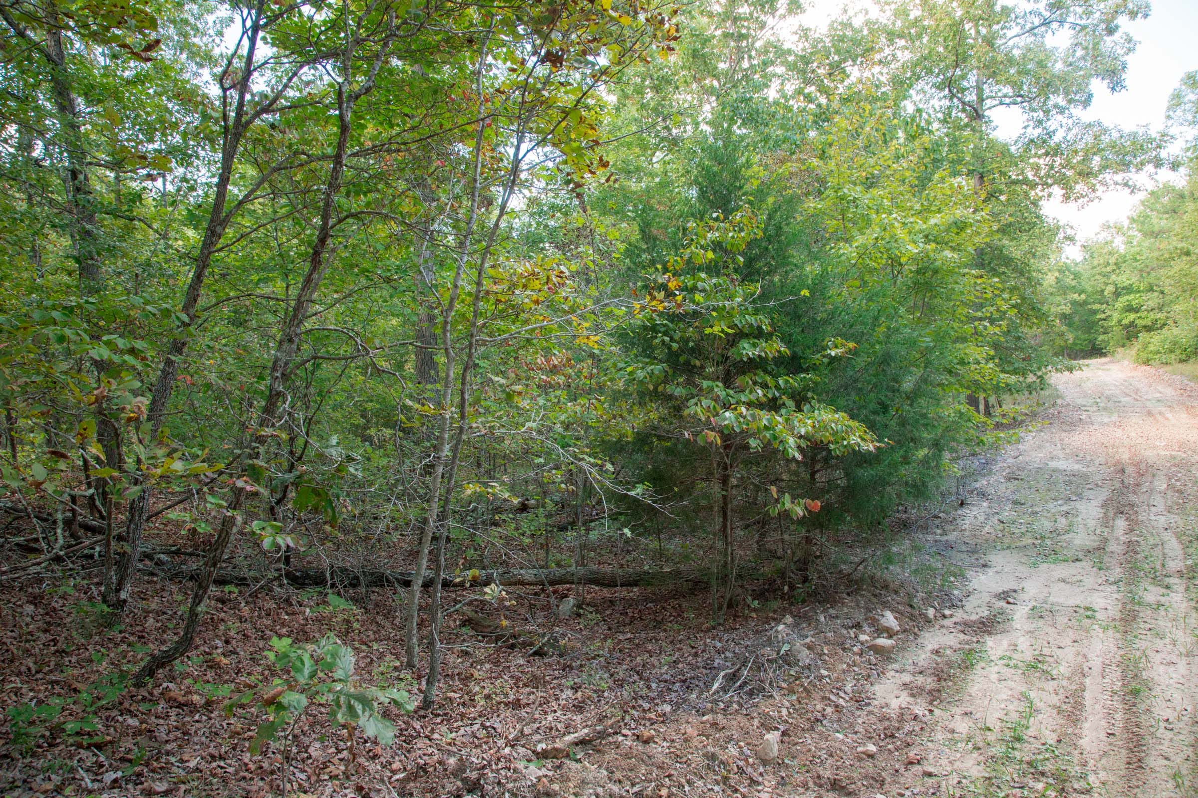 Wagon Wheel Ranch Tract 20 photo 15