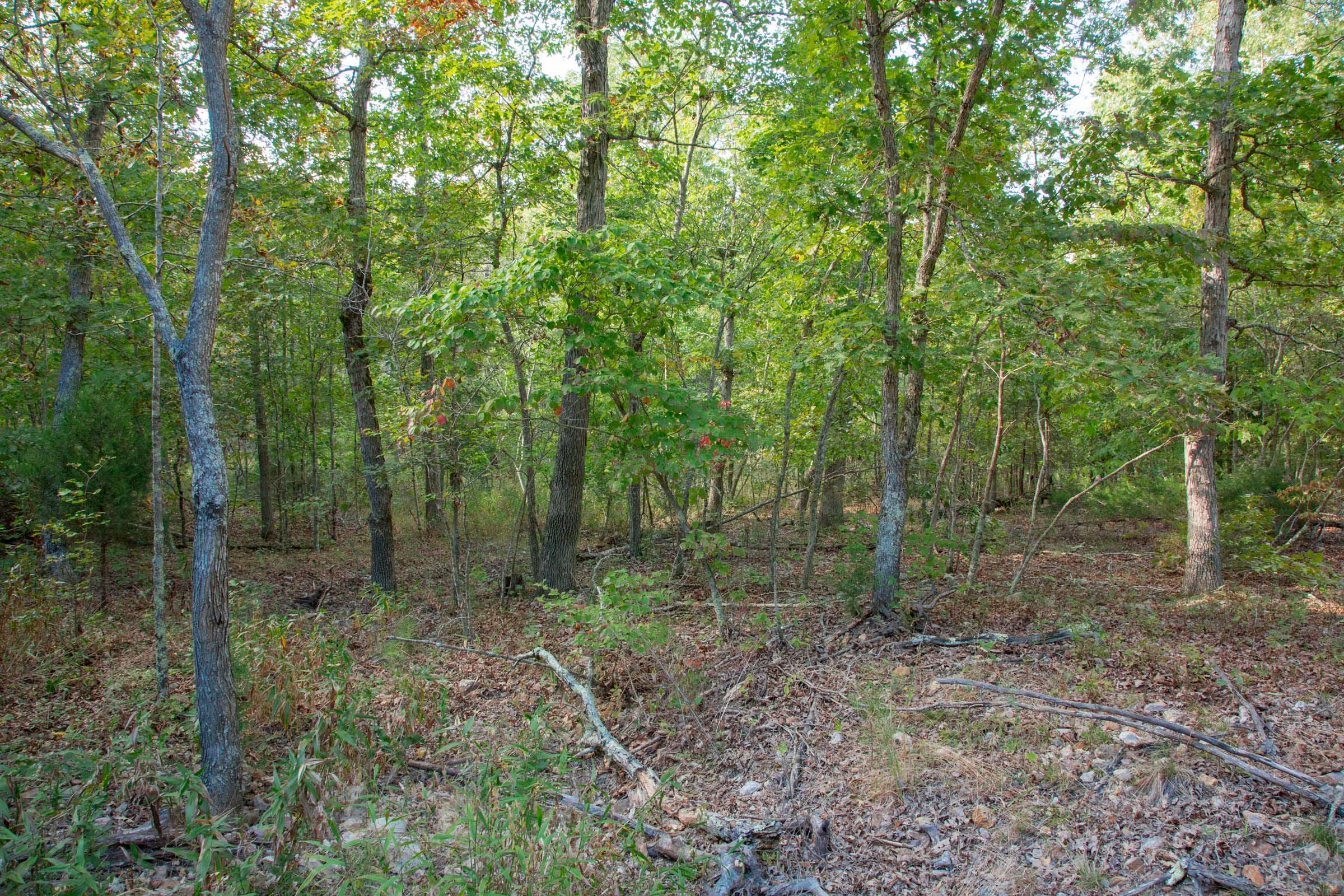 Wagon Wheel Ranch Tract 20 photo 17
