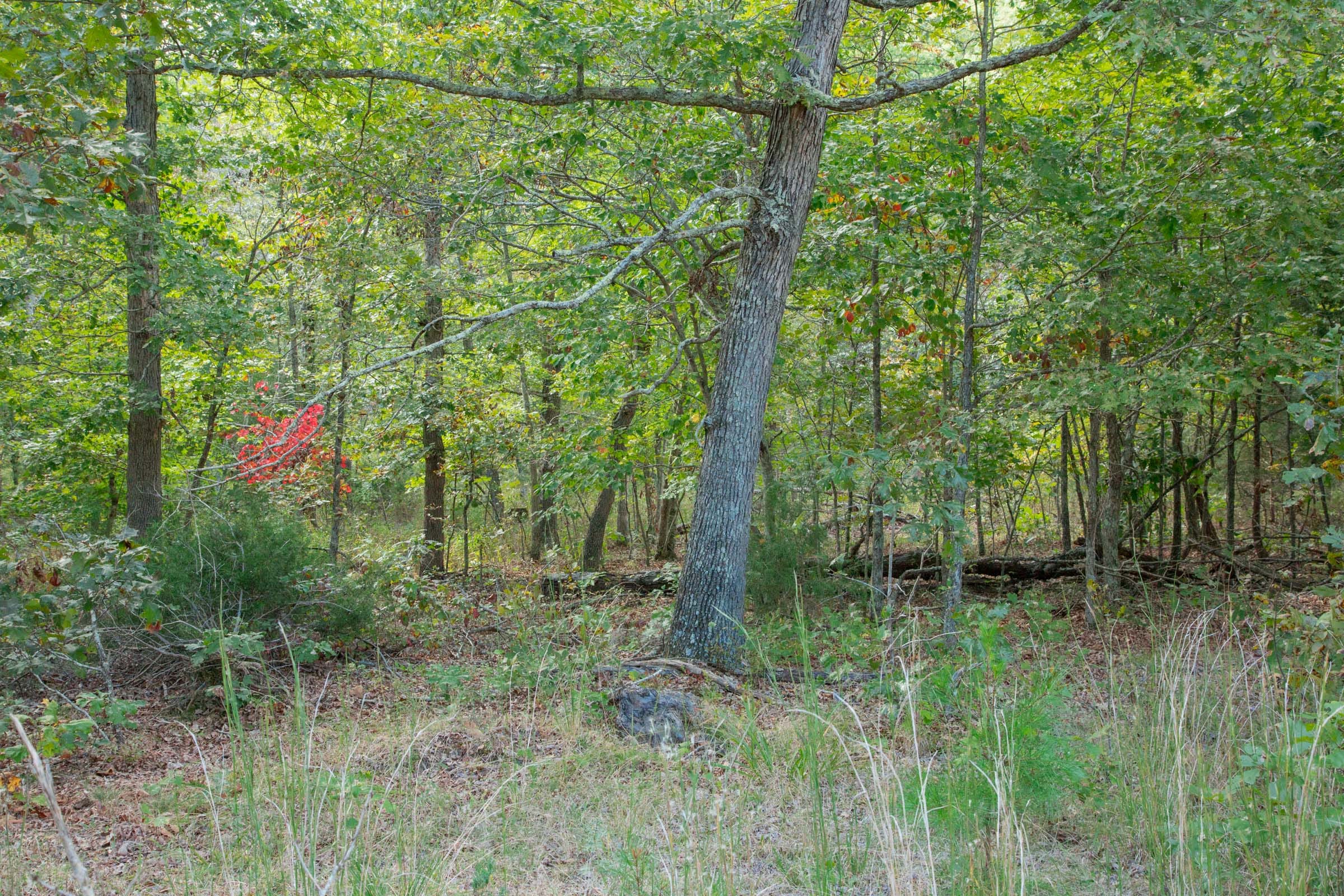Wagon Wheel Ranch Tract 20 photo 18