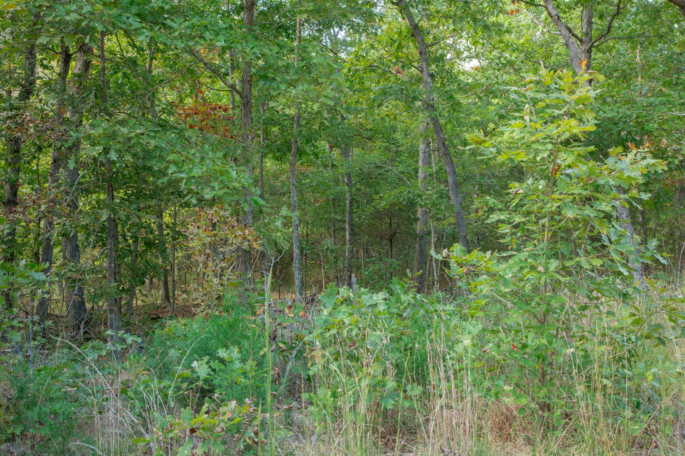 Wagon Wheel Ranch Tract 20 photo 19