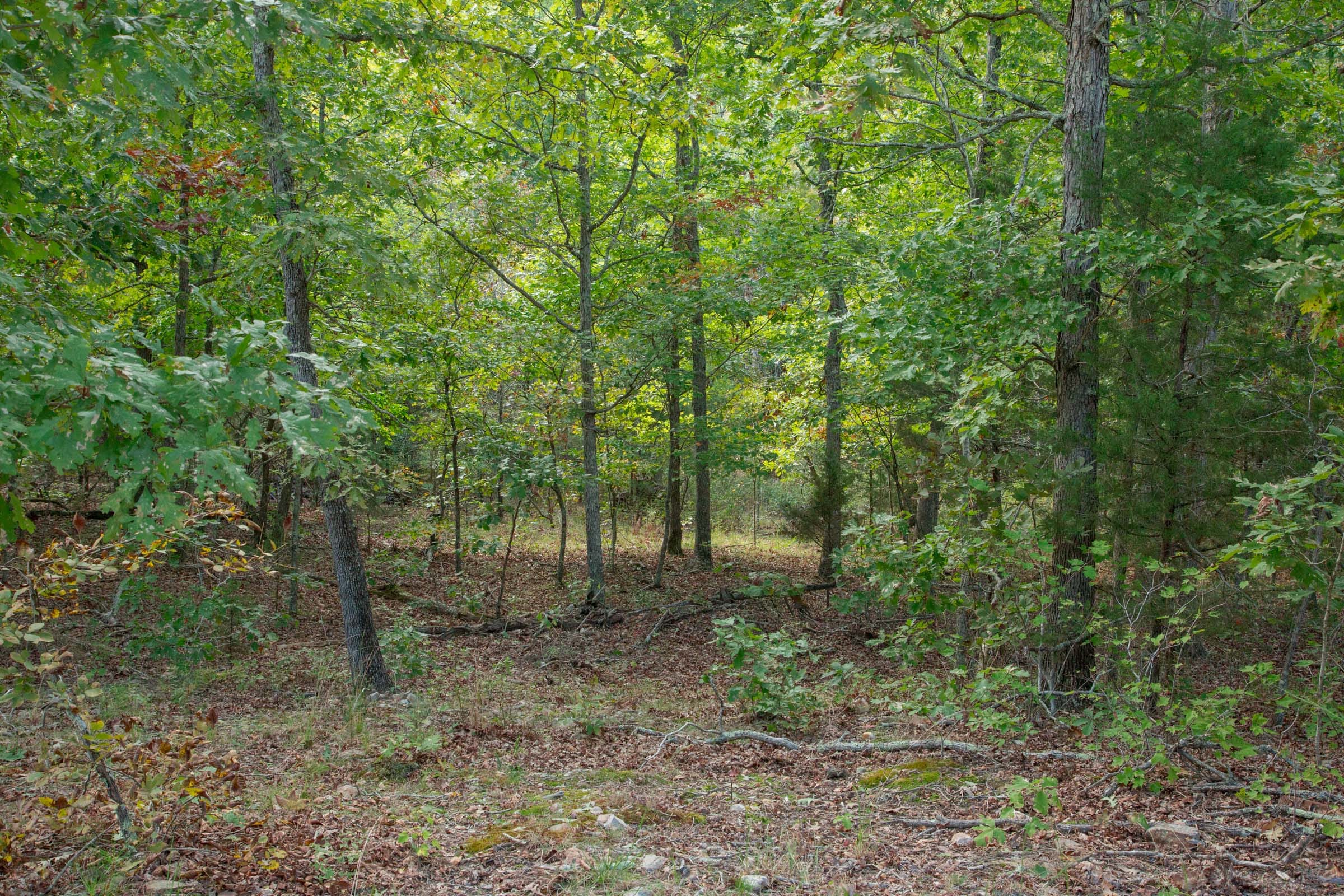 Wagon Wheel Ranch Tract 20 photo 20