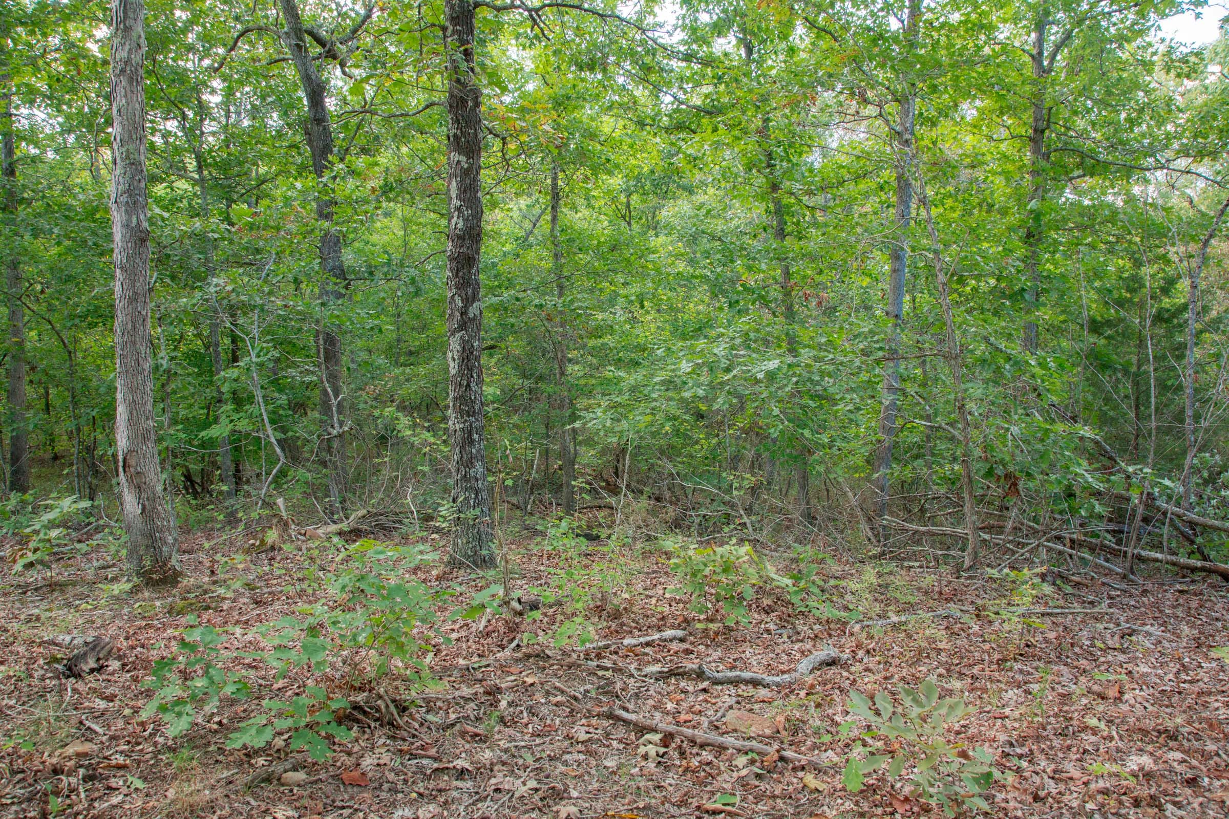 Wagon Wheel Ranch Tract 20 photo 22