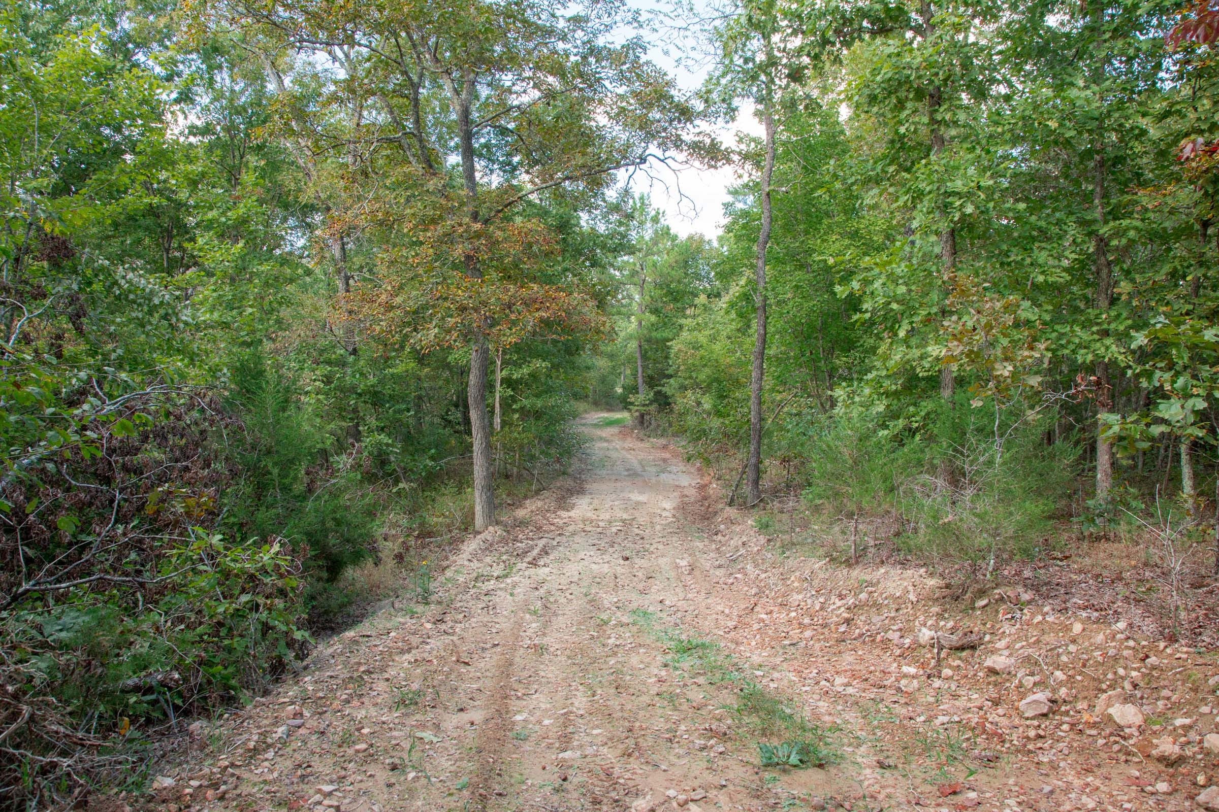 Wagon Wheel Ranch Tract 20 photo 16
