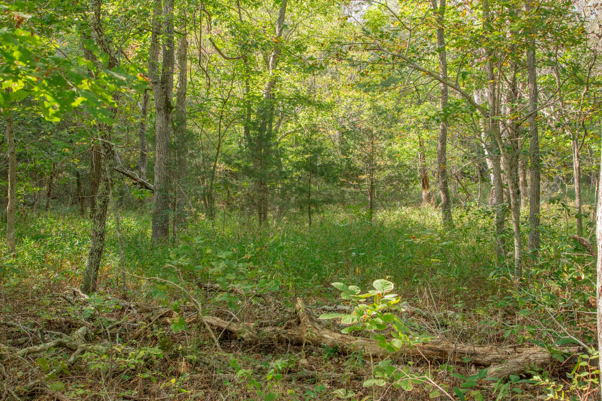 Wagon Wheel Ranch Tract 20 photo 24