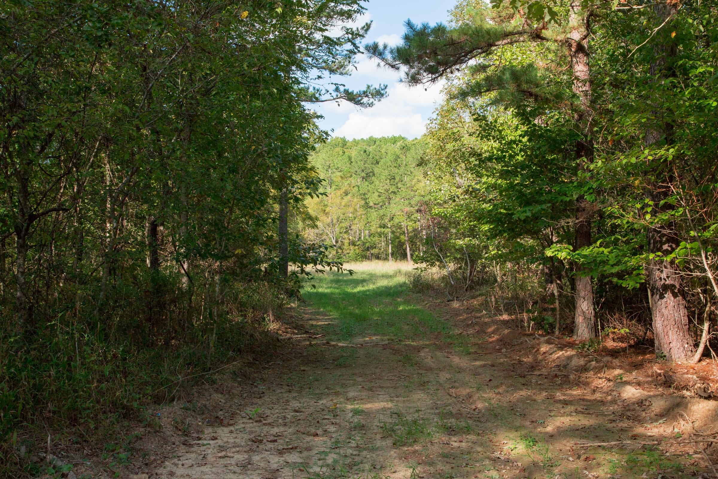 Wagon Wheel Ranch Tract 20 photo 26