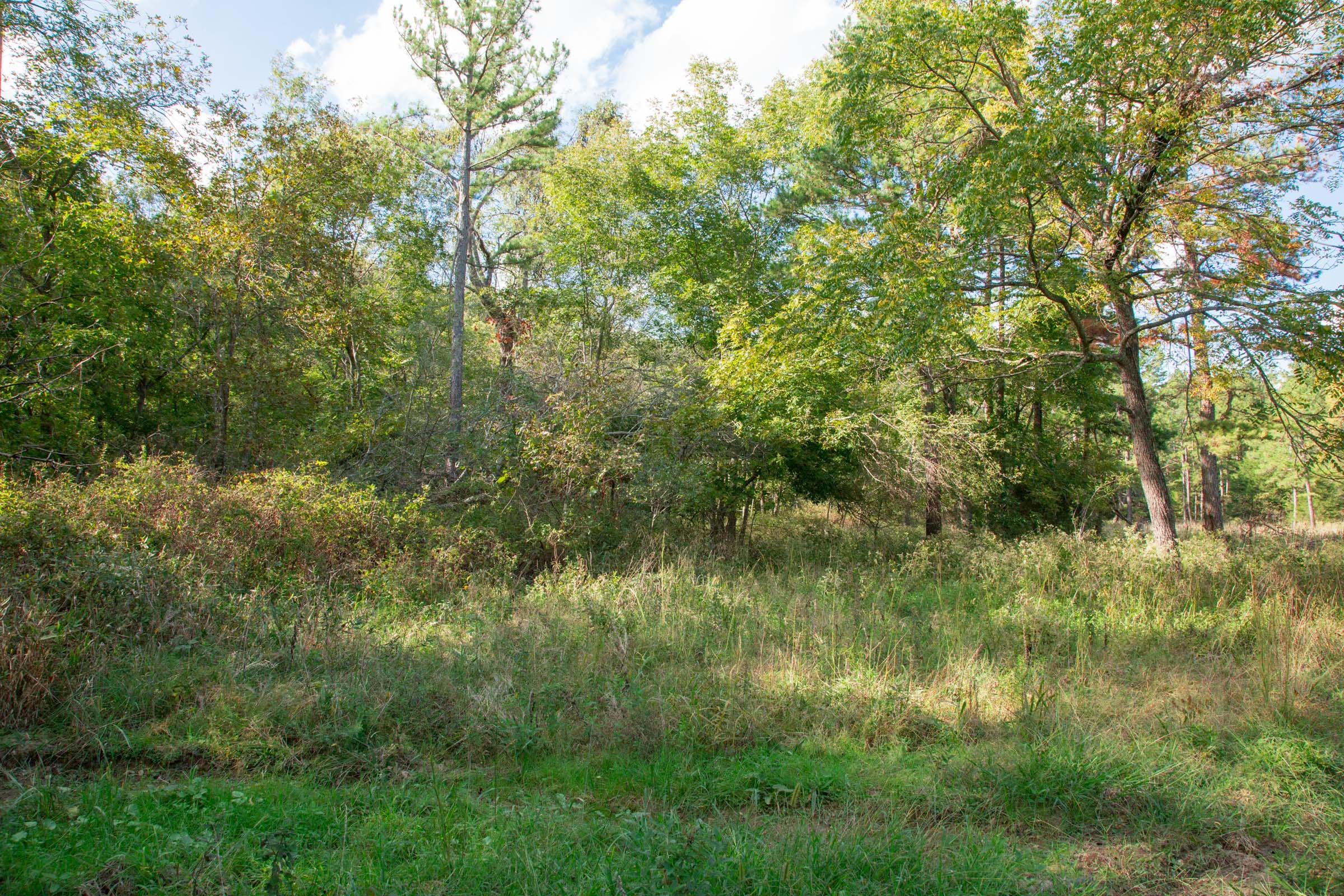Wagon Wheel Ranch Tract 20 photo 28