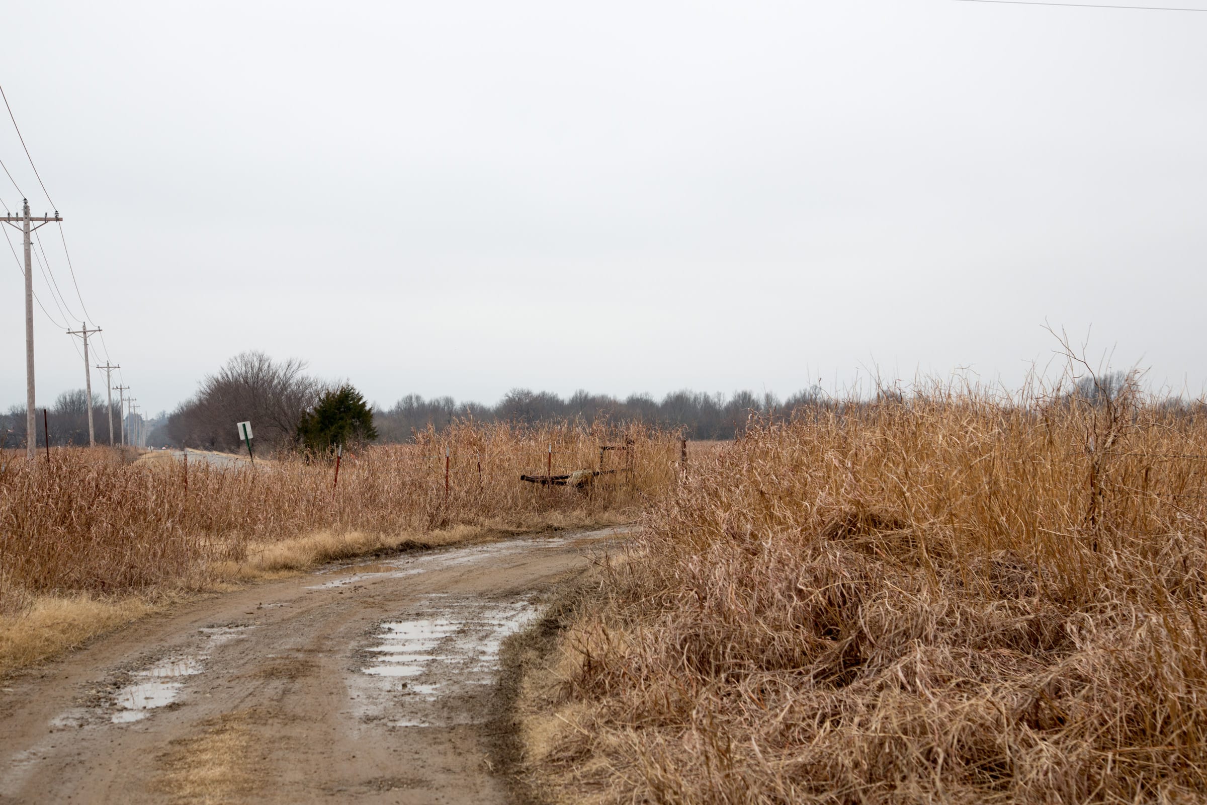 Canadian Plains Tract 15 photo 12