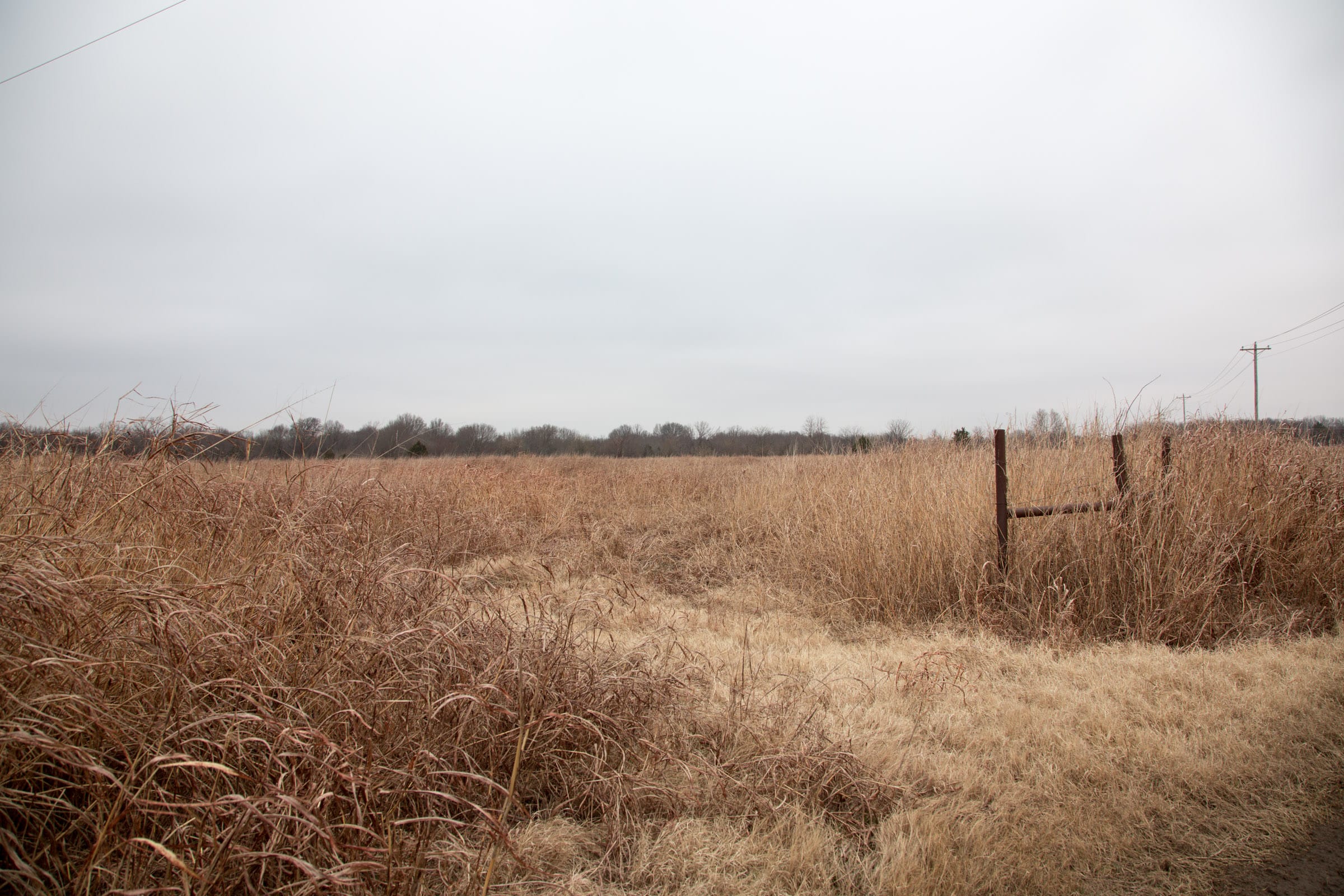 Canadian Plains Tract 15 photo 2