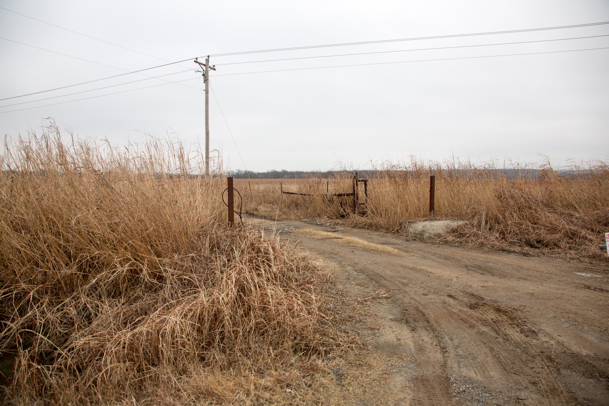 Canadian Plains Tract 15 photo 9