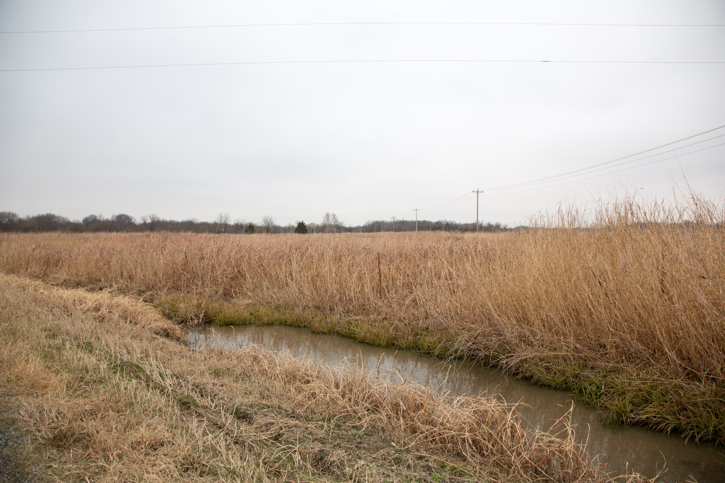 Canadian Plains Tract 15 photo 3