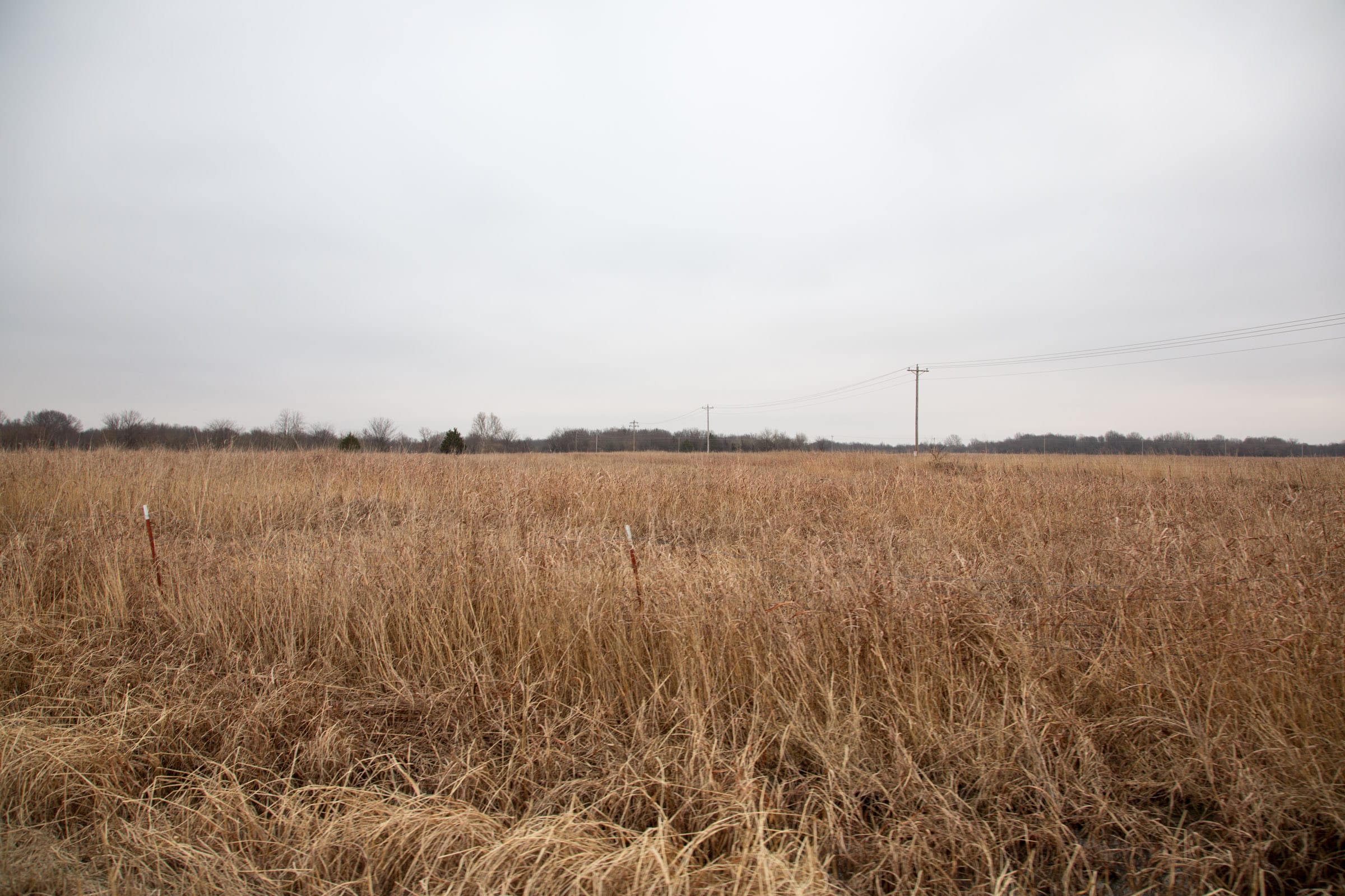 Canadian Plains Tract 15 photo 4