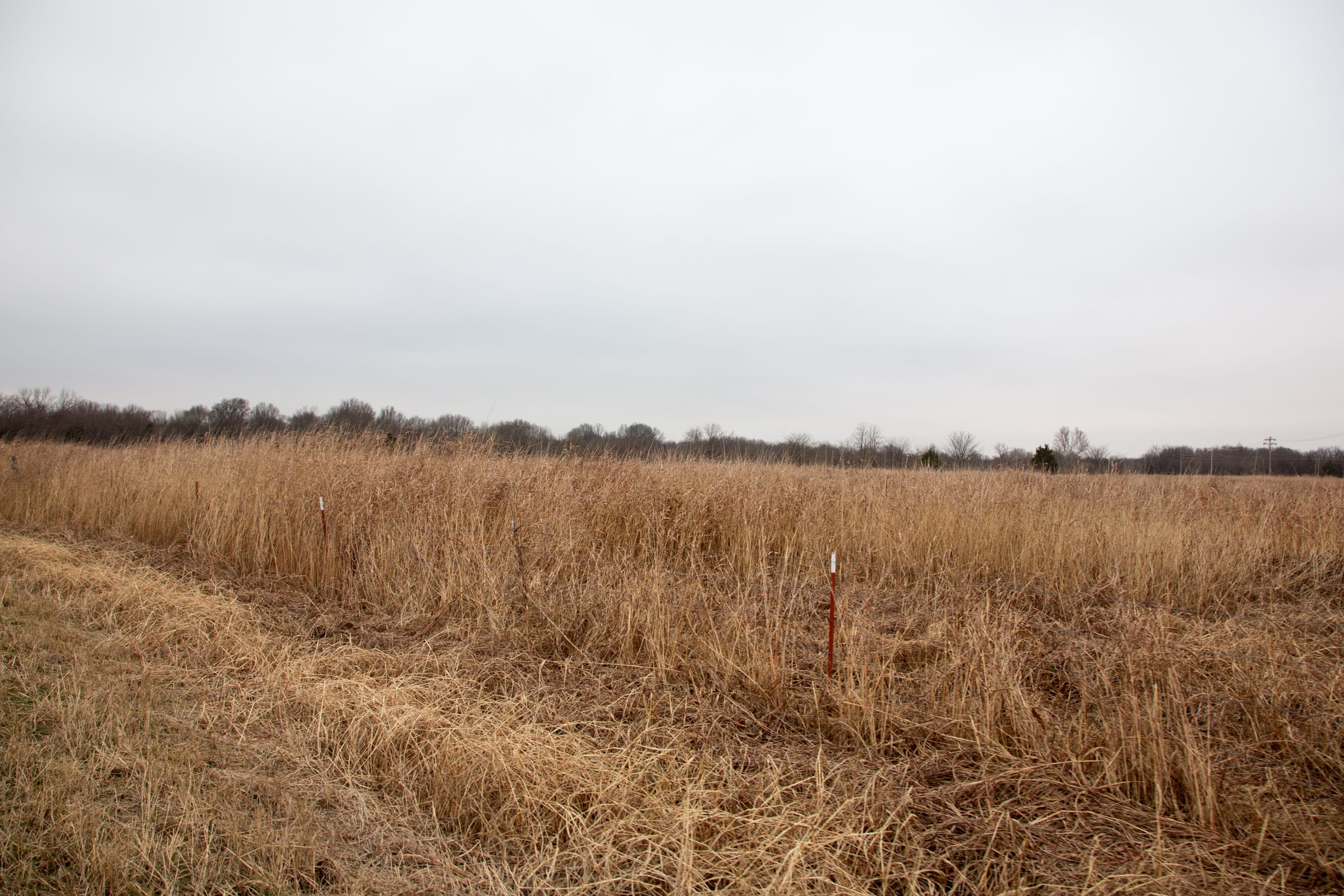 Canadian Plains Tract 15 photo 5