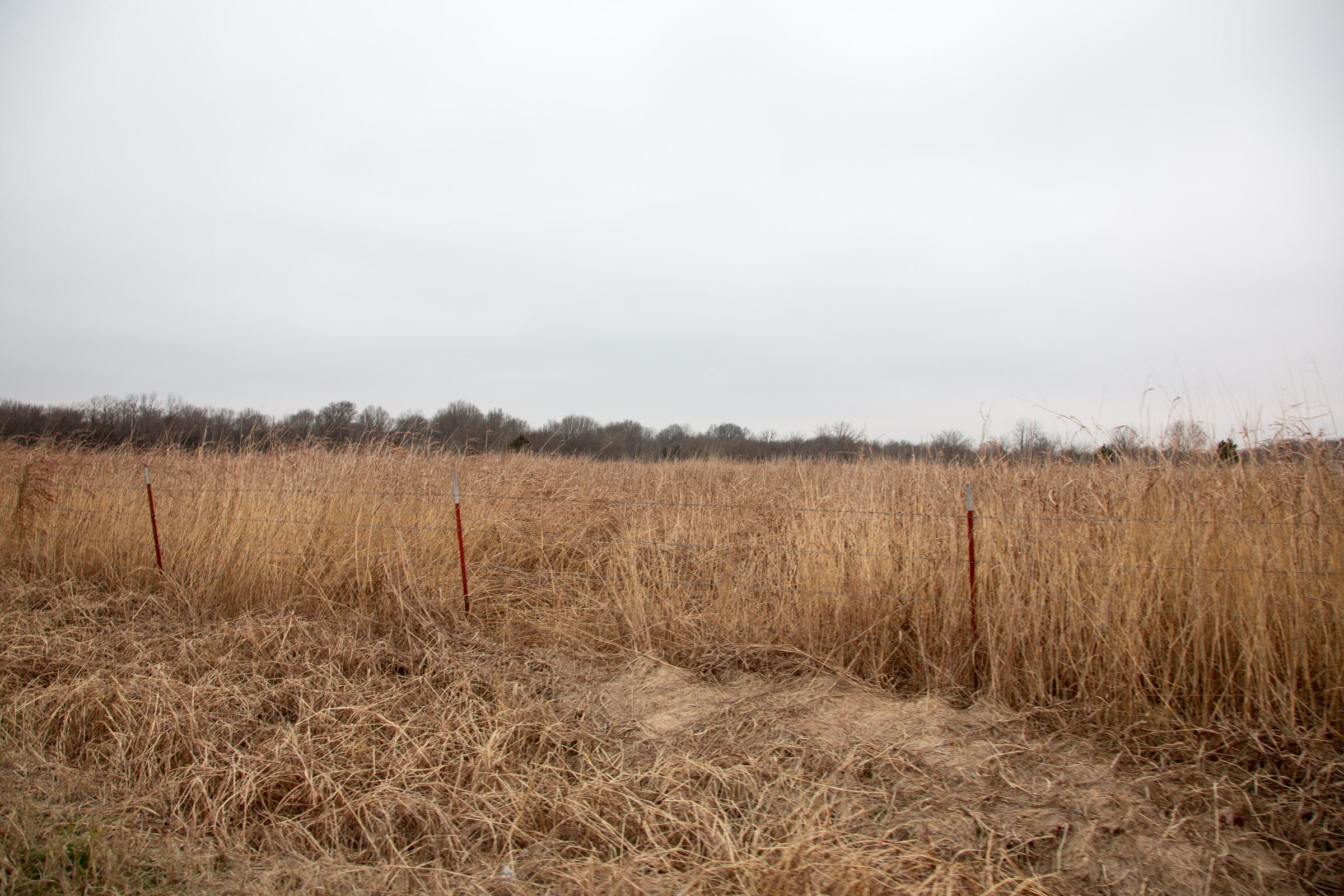 Canadian Plains Tract 15 photo 7