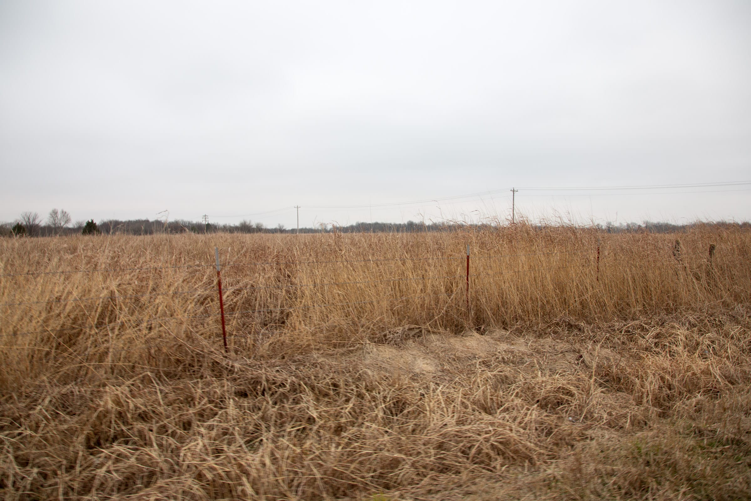 Canadian Plains Tract 15 photo 8